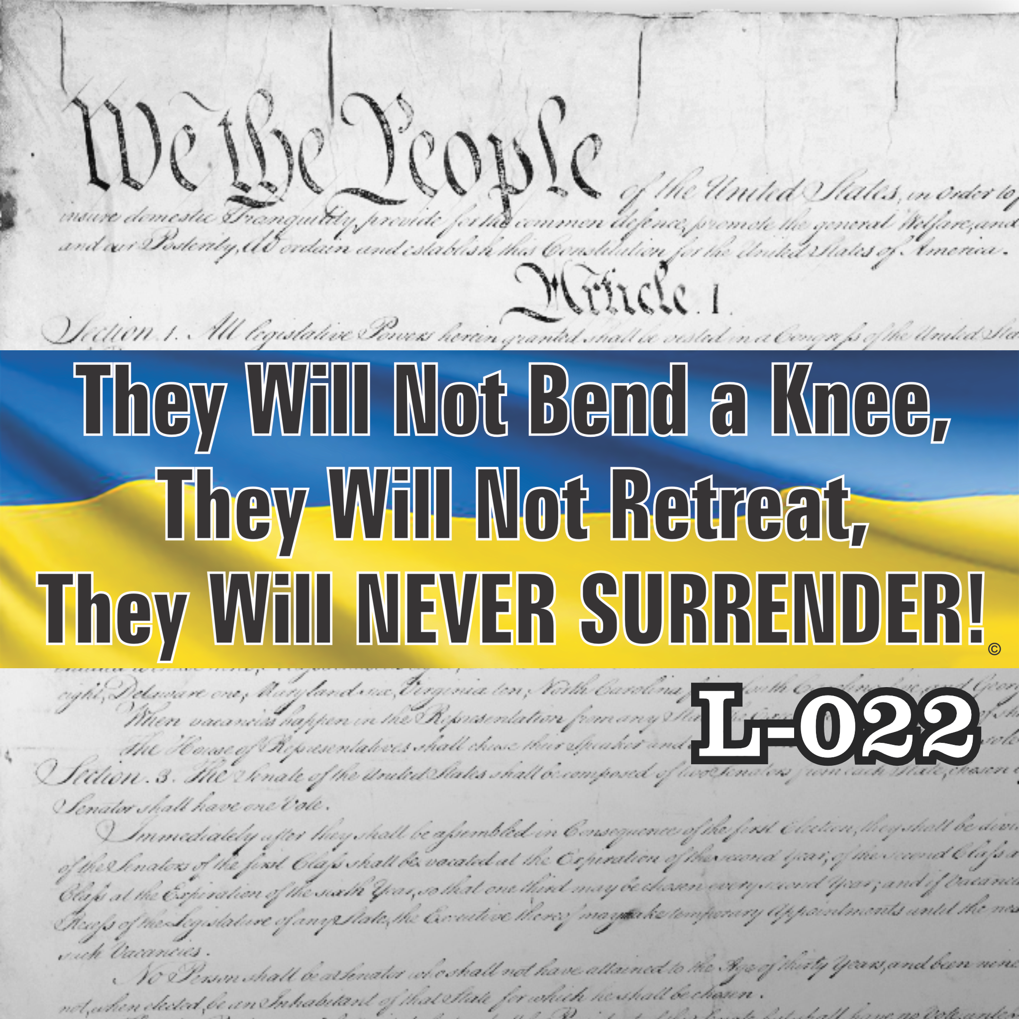 MAGNET 11" X 3.5" 22