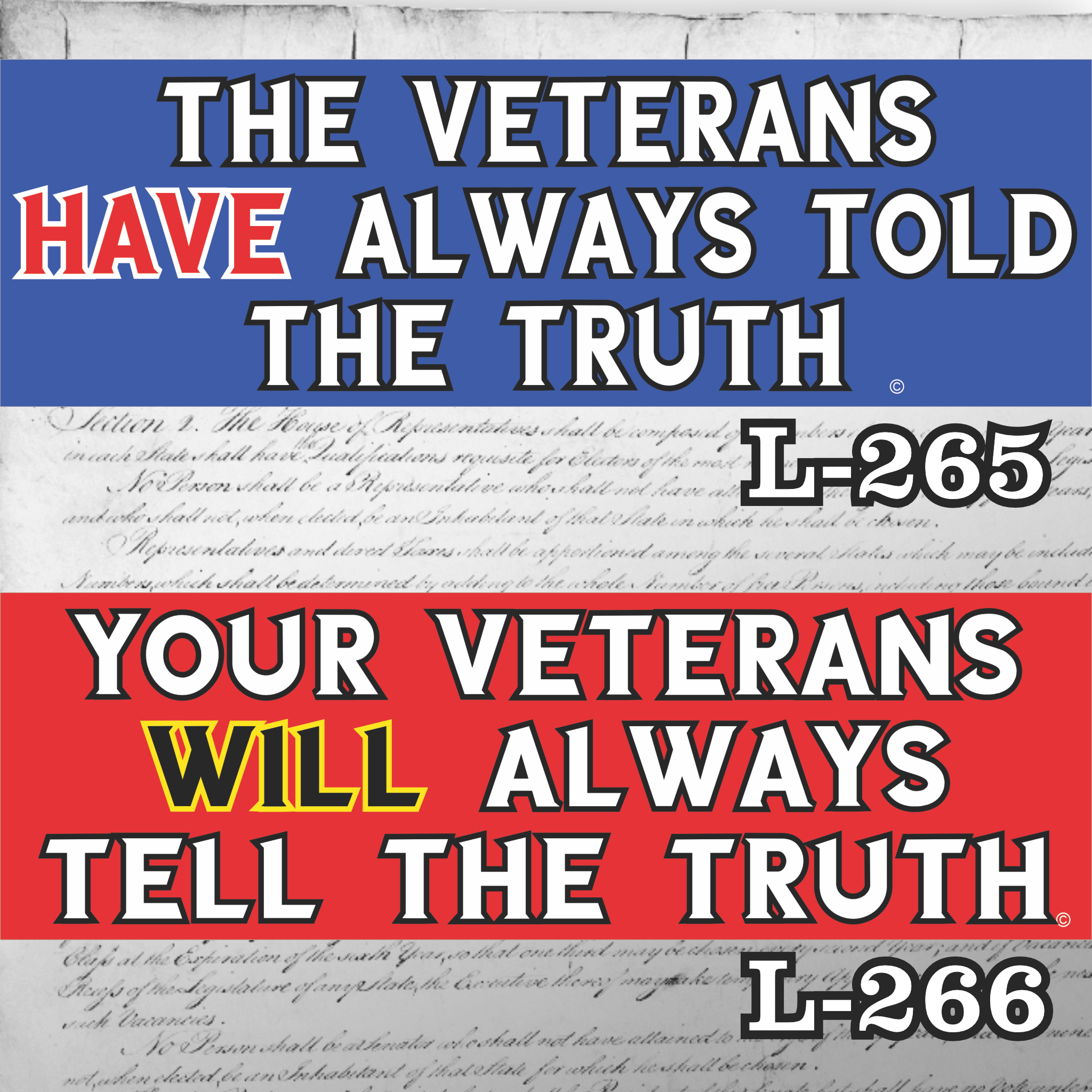 MAGNET 11" X 3.5" SET 265 266