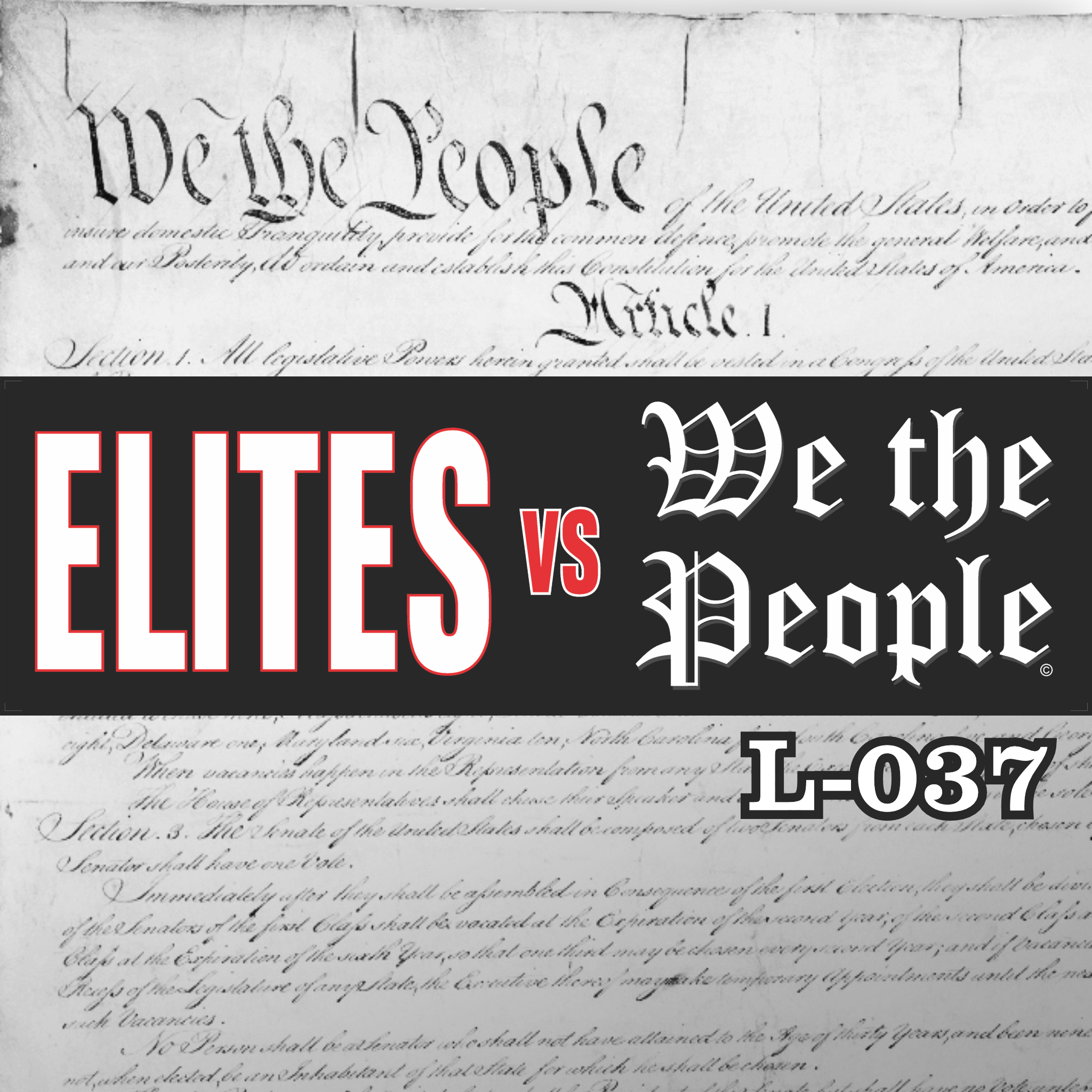 MAGNET 11" X 3.5" 37