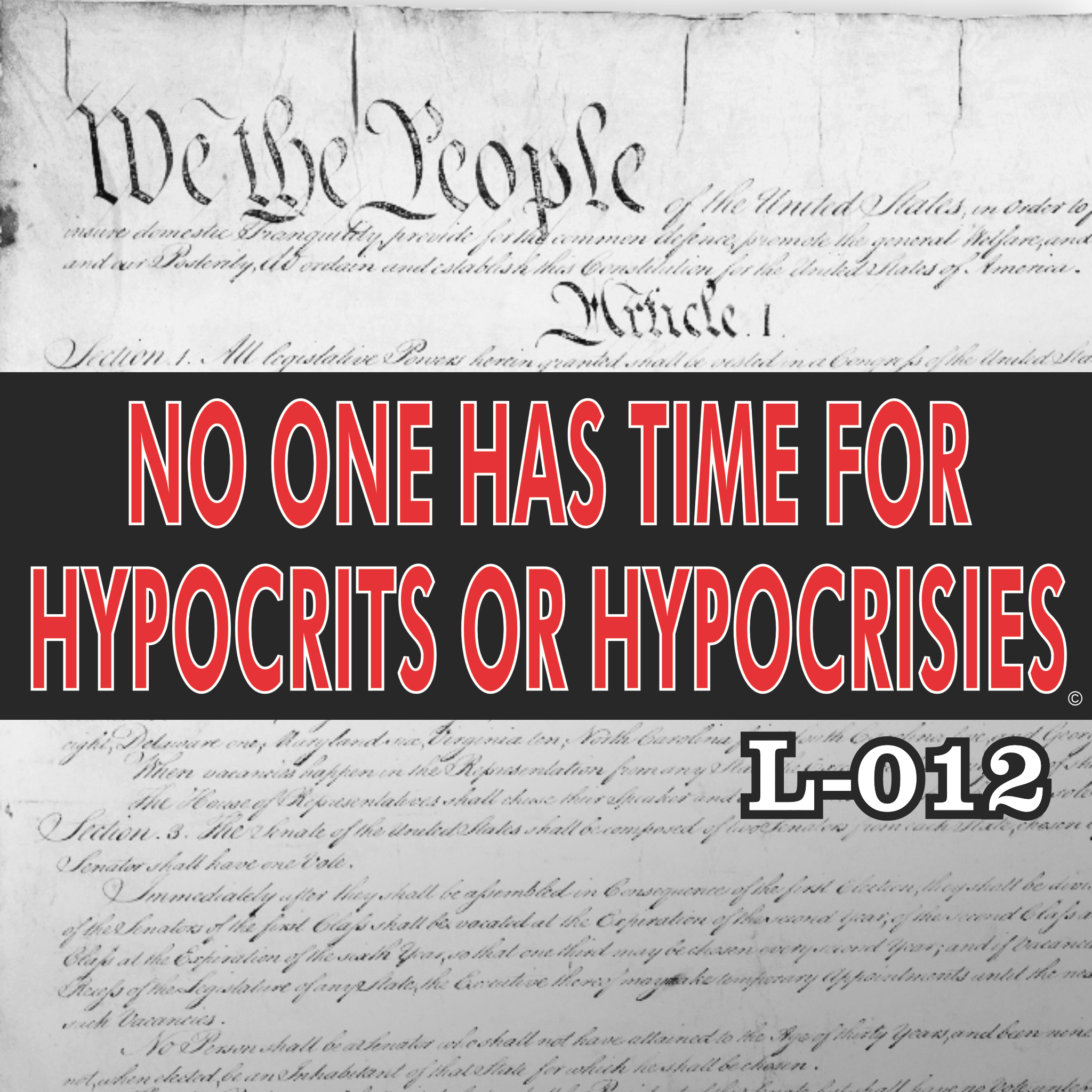 MAGNET 11" X 3.5" 12