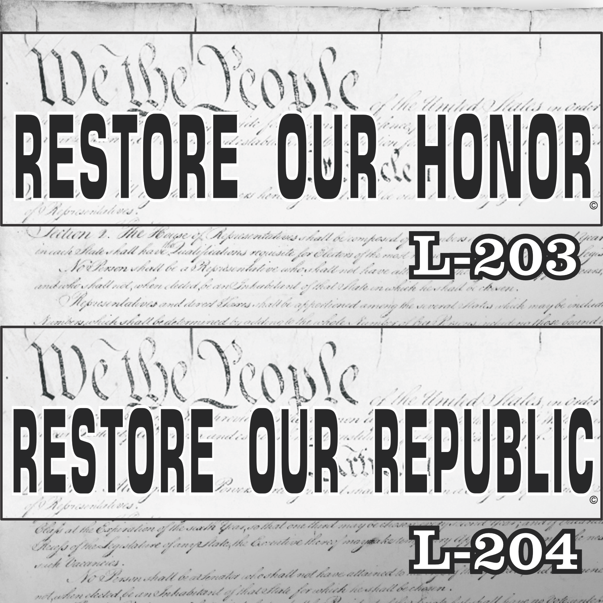 MAGNET 11" X 3.5" SET 203 204