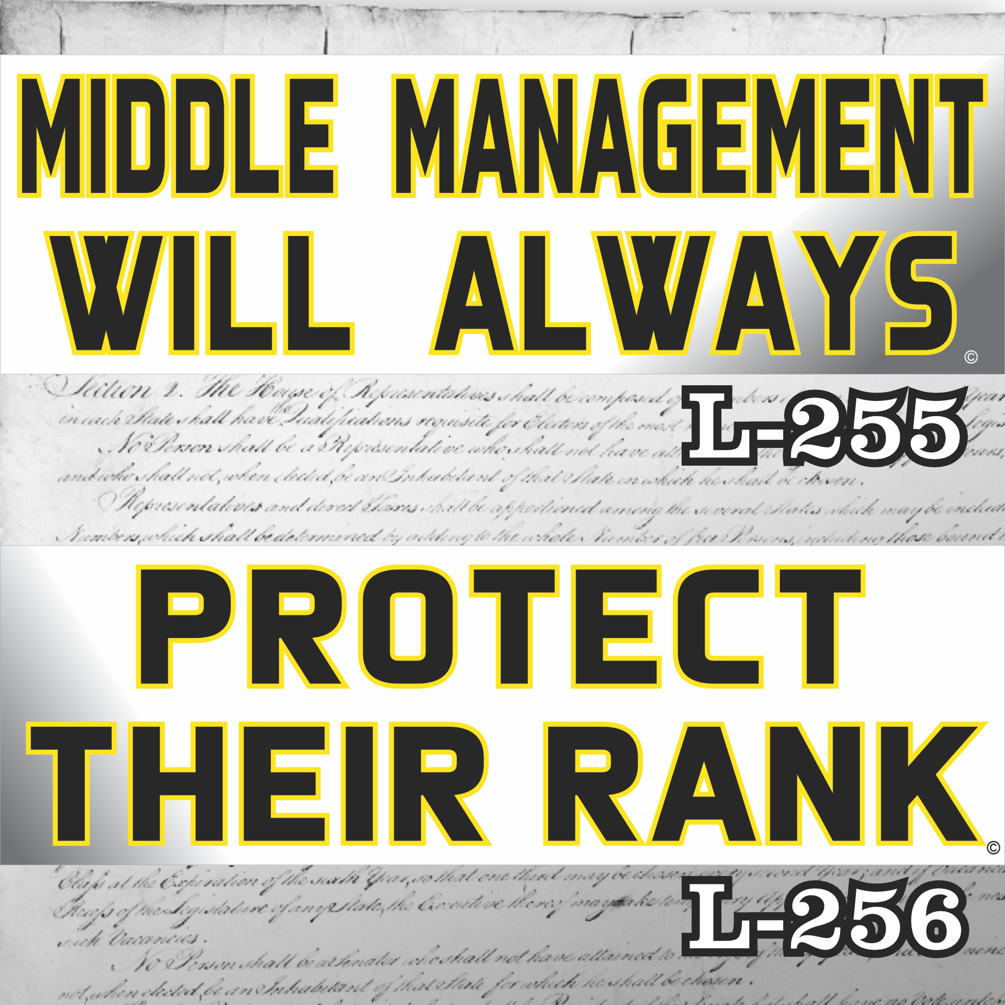 MAGNET 11" X 3.5" SET 255 256