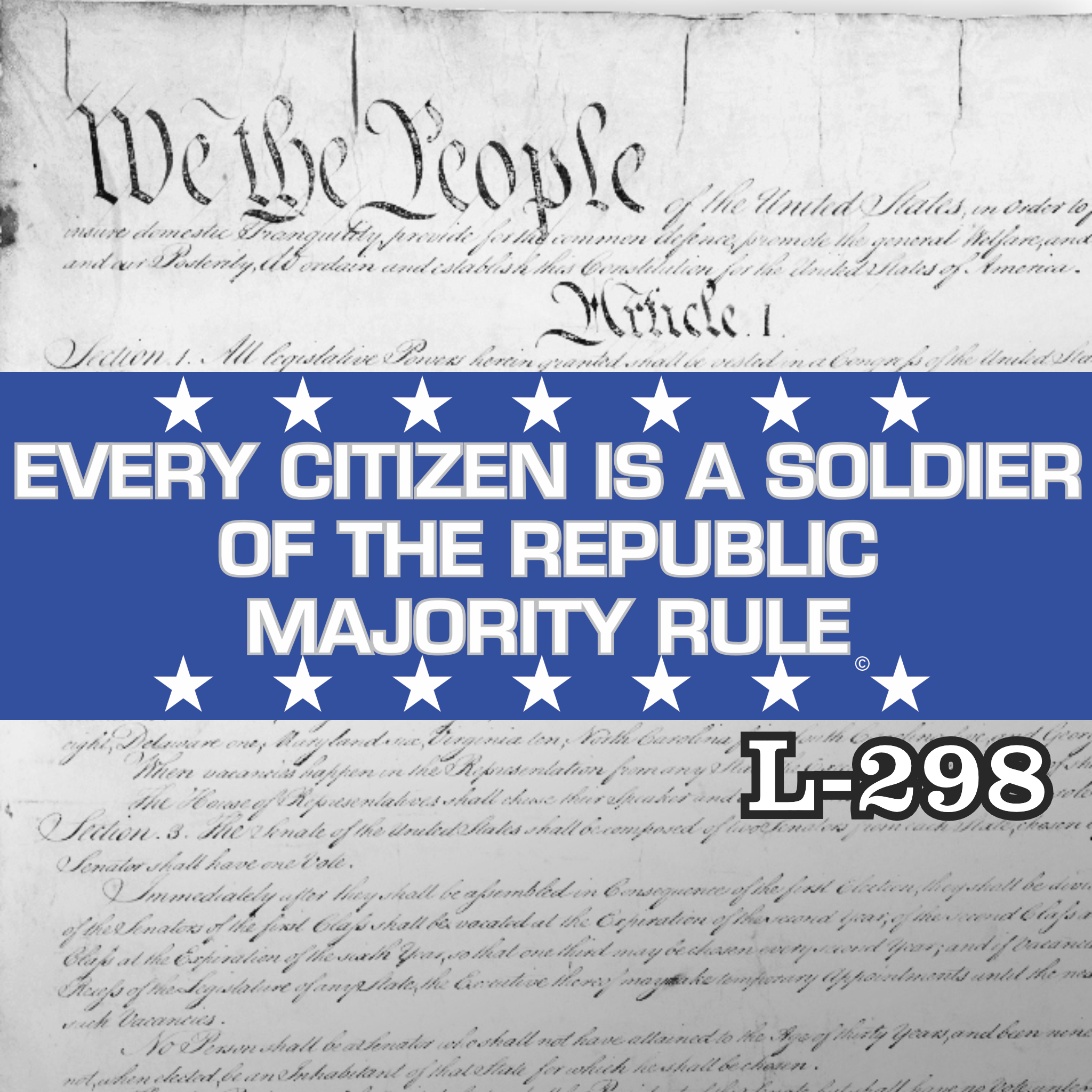 MAGNET 11" X 3.5" 298