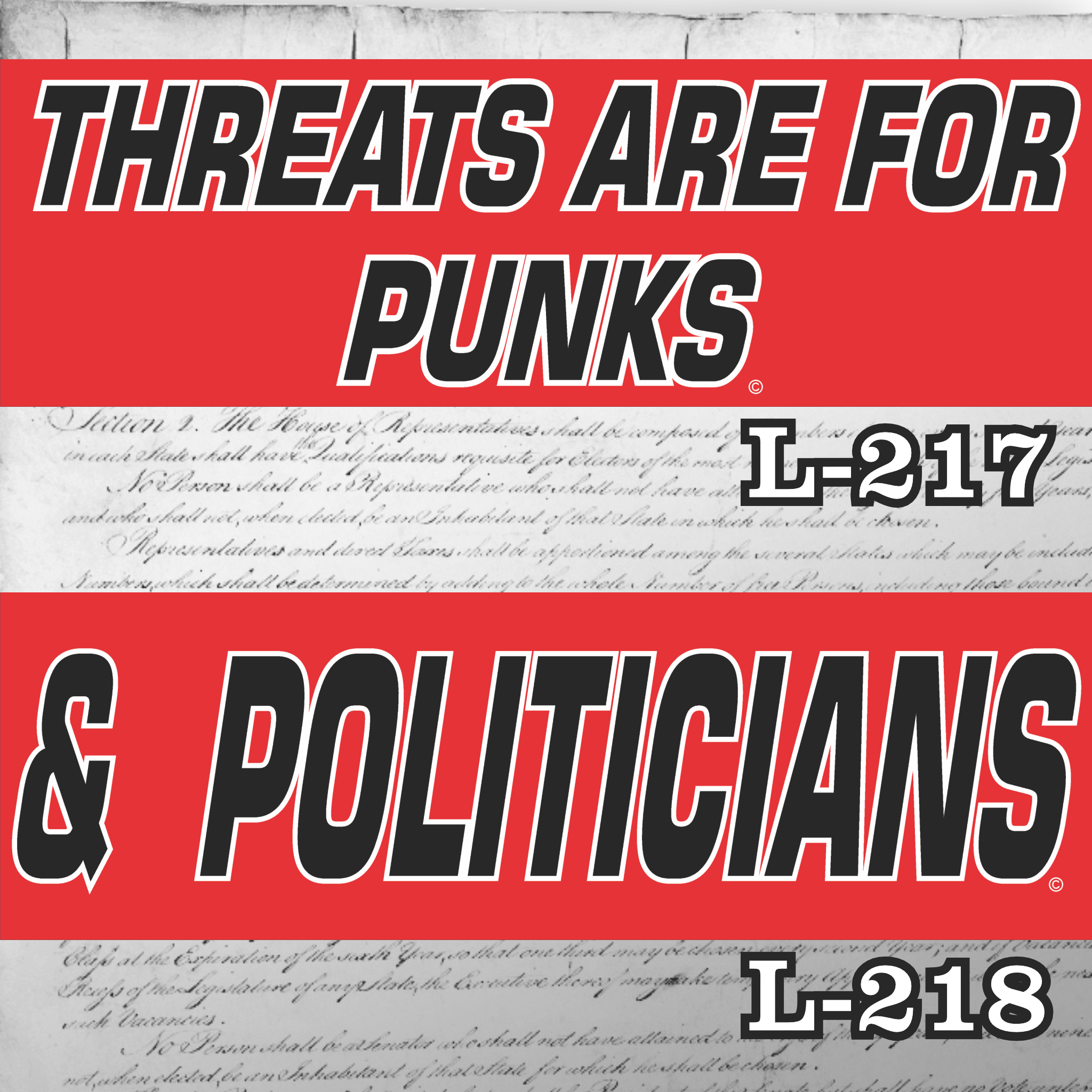 MAGNET 11" X 3.5" SET 217 218