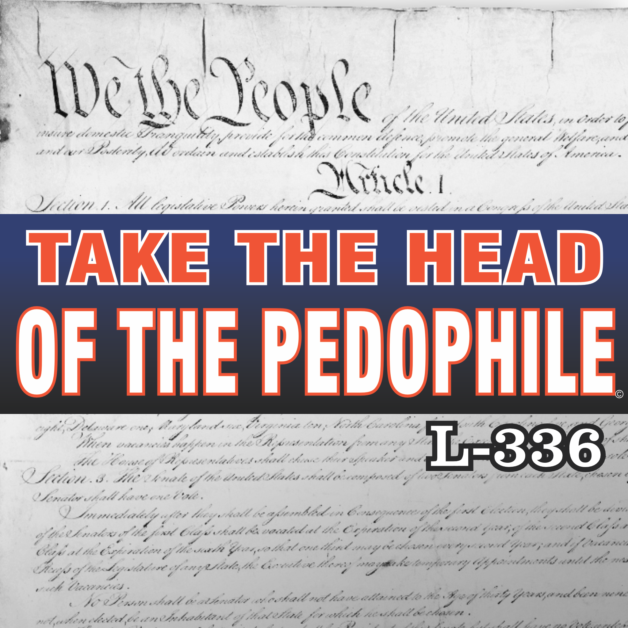 Magnet 11" x 3.5" 336