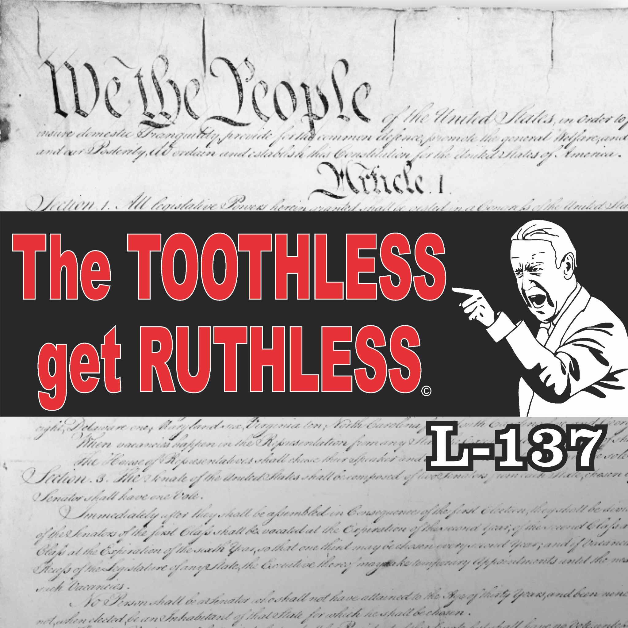 MAGNET 11" X 3.5" 137