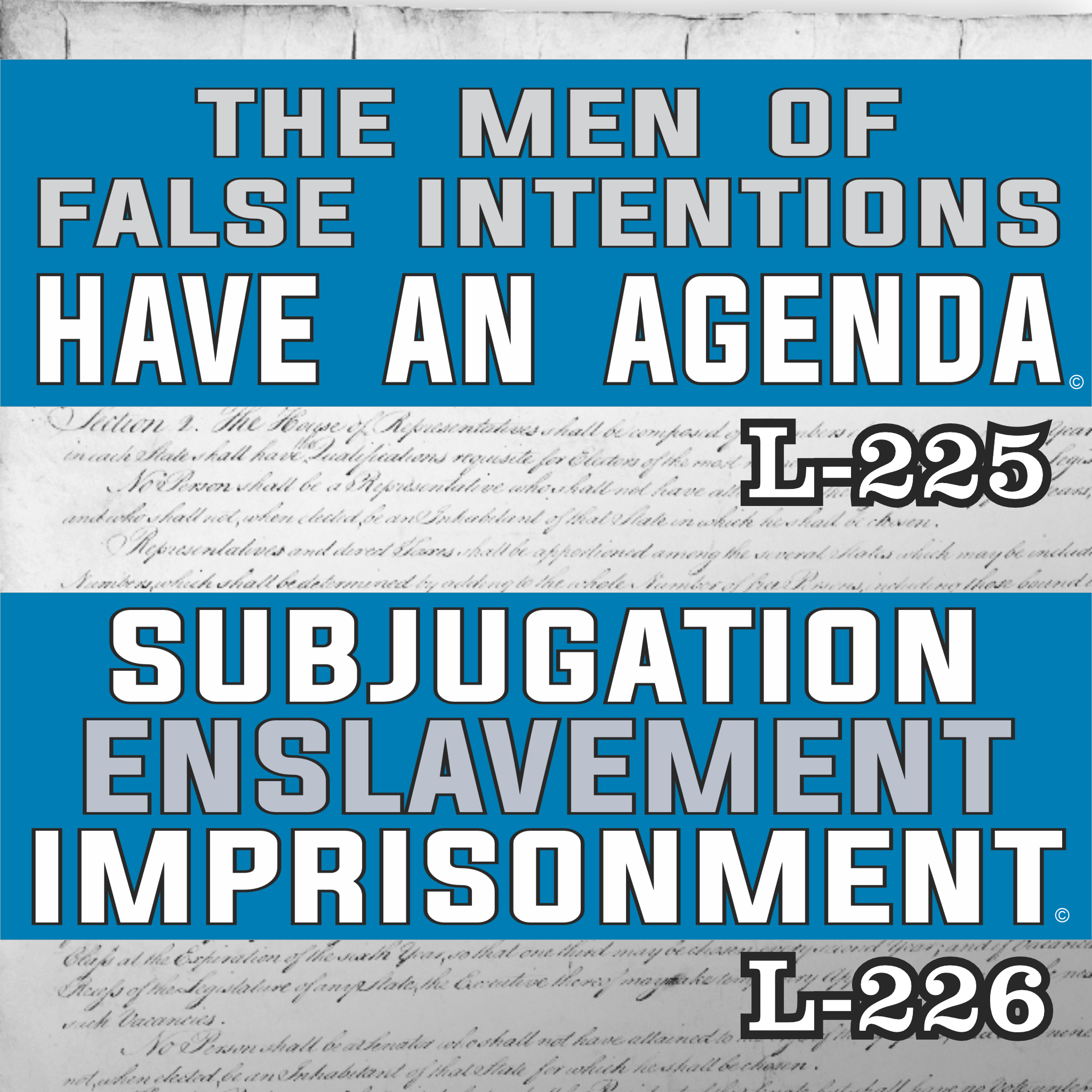 MAGNET 11" X 3.5" SET 225 226