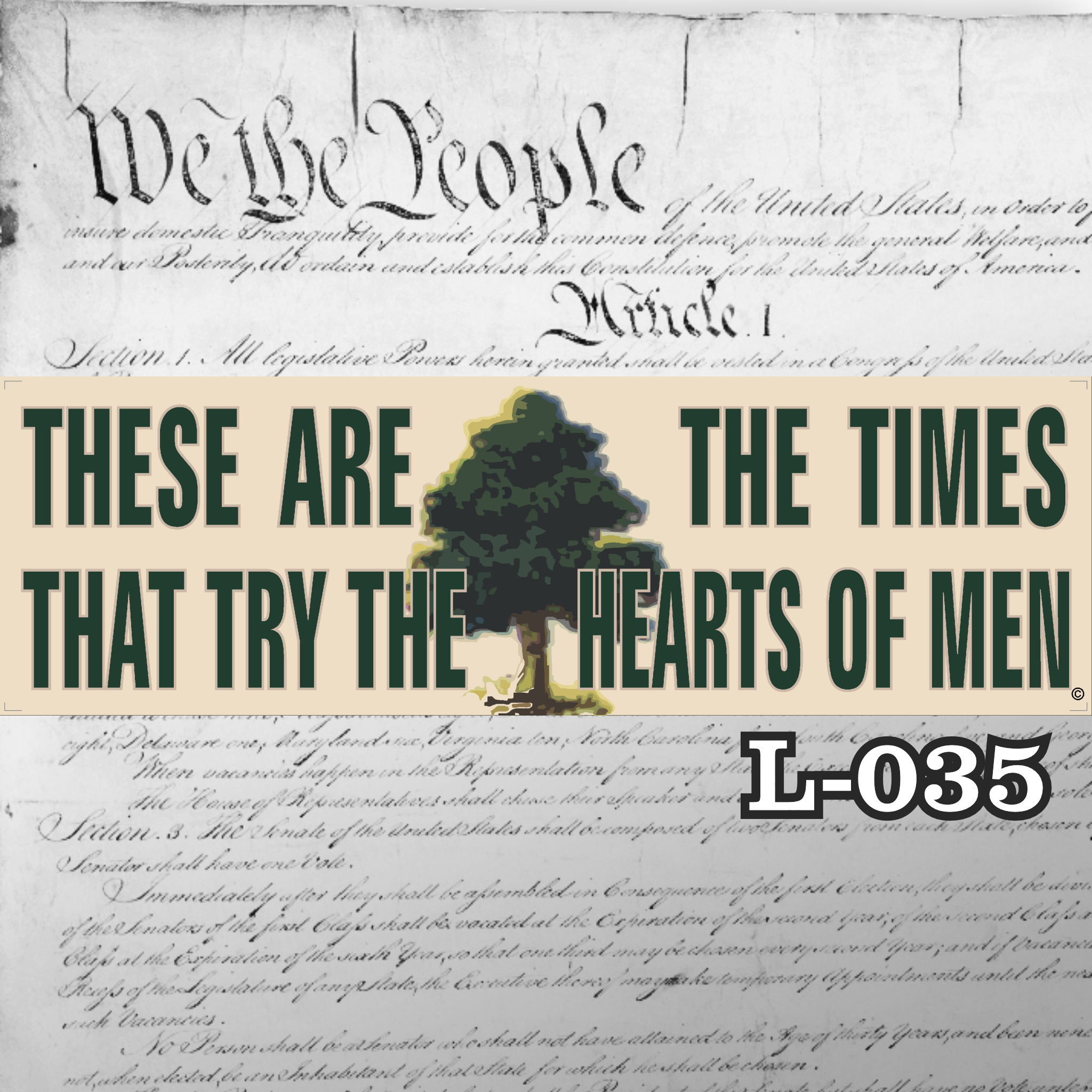 MAGNET 11" X 3.5" 35