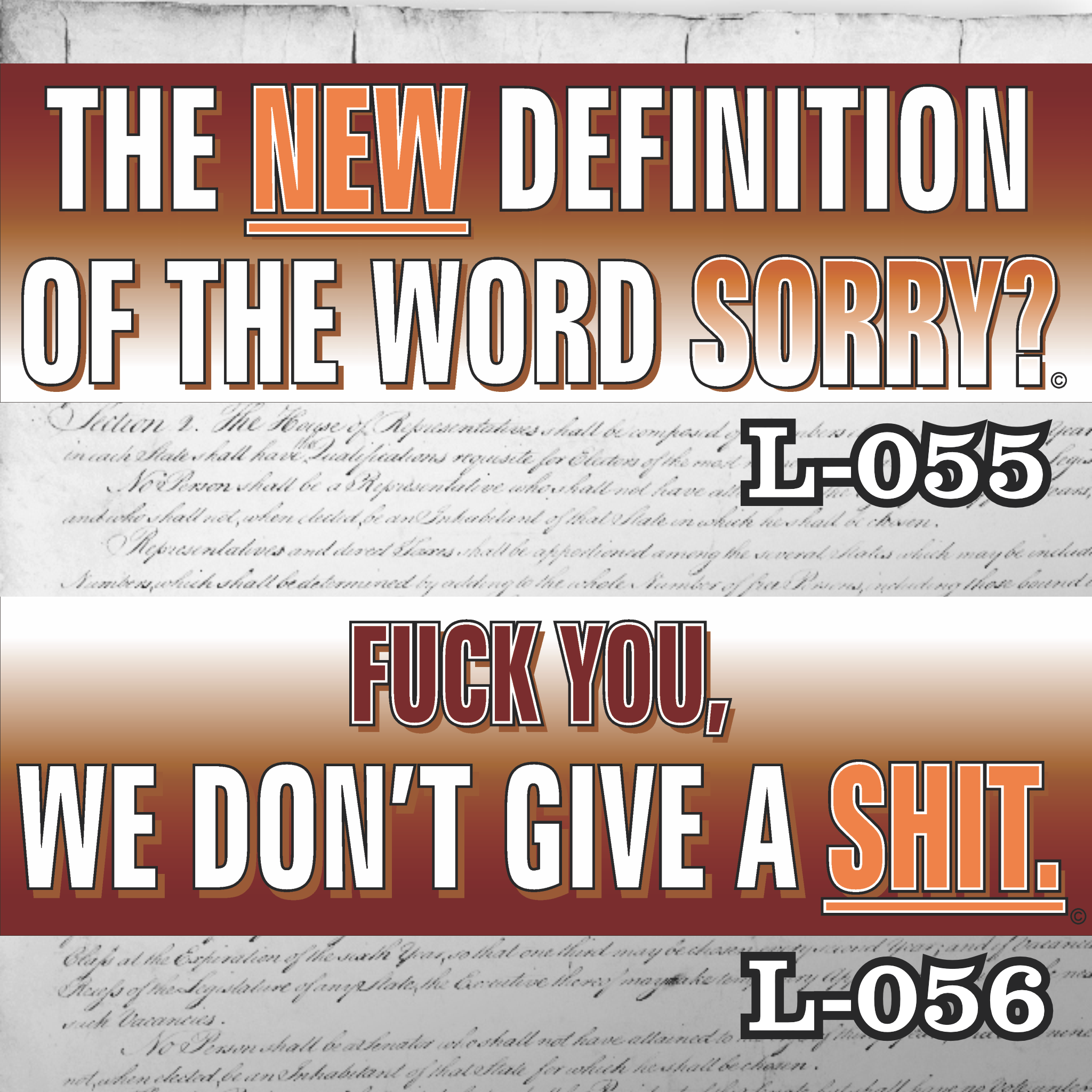 MAGNET SET 11" X 3.5" 55 56