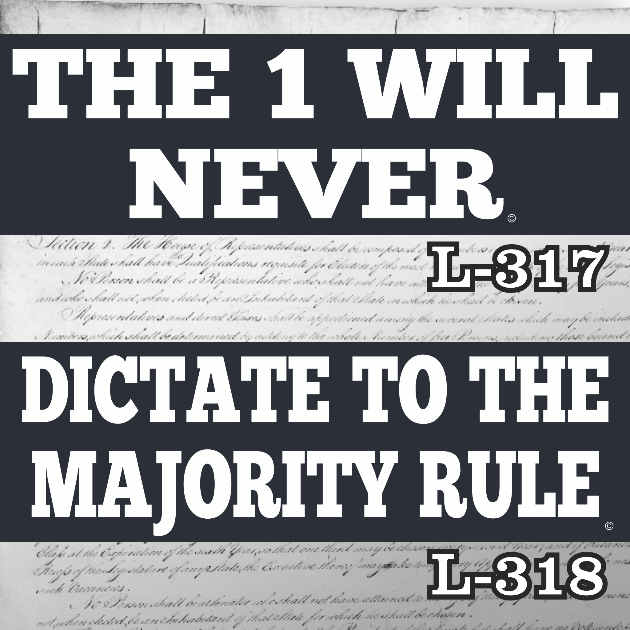 Magnet 11" x 3.5" SET 317 318