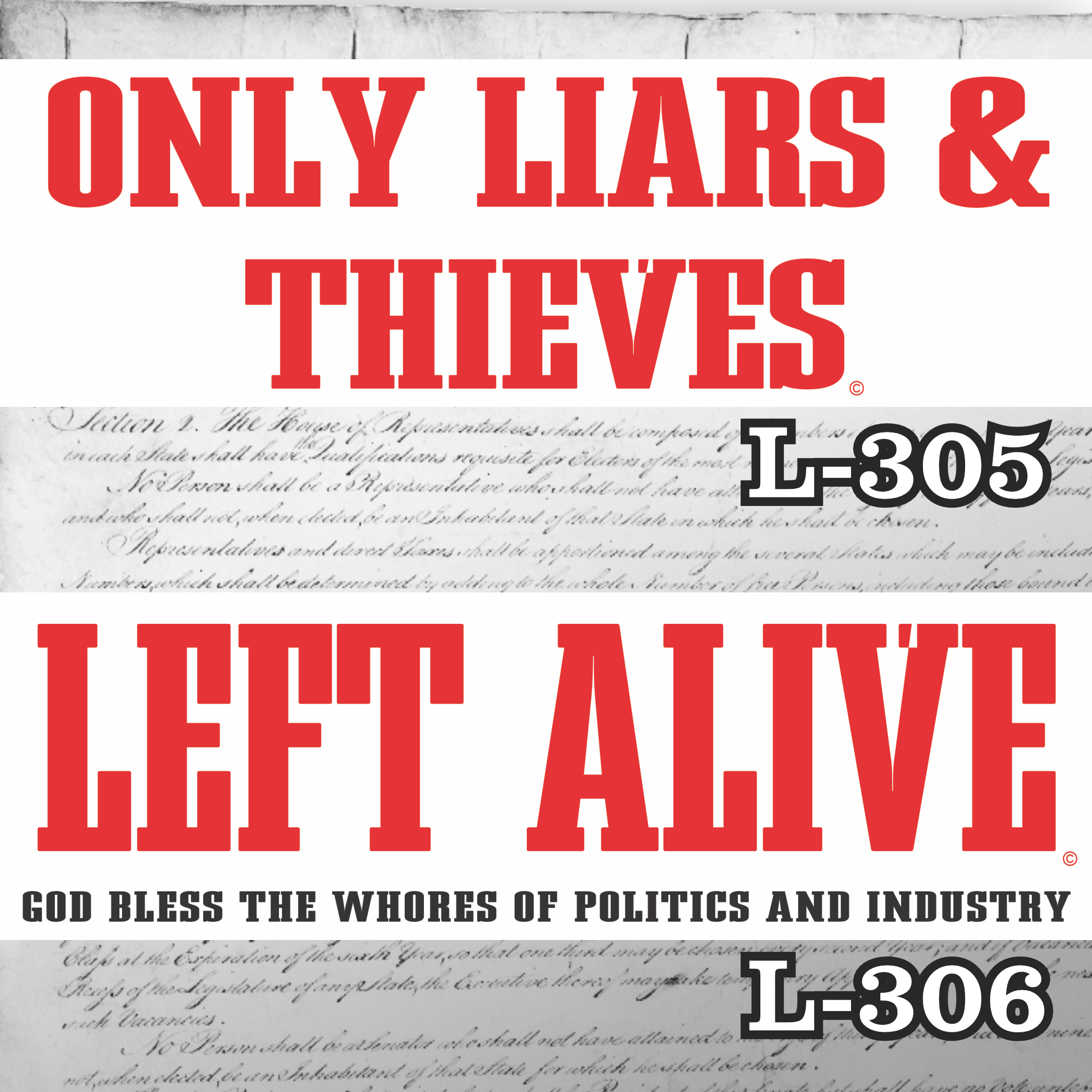 Magnet 11" x 3.5" SET 305 306