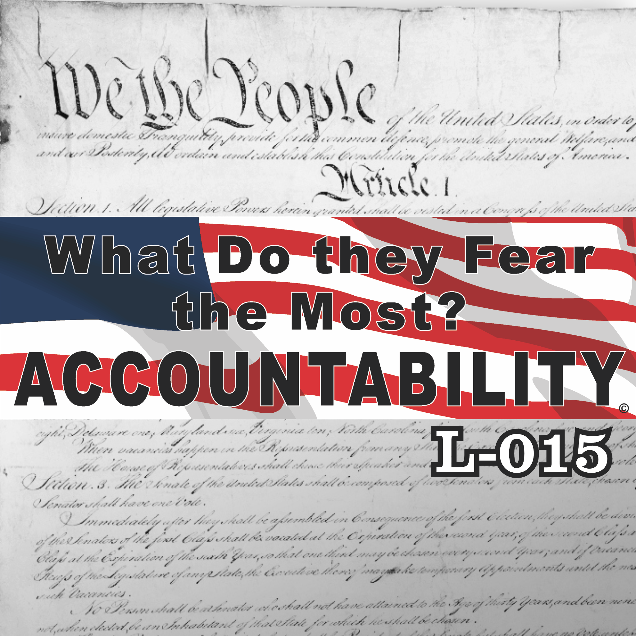 MAGNET 11" X 3.5" 15