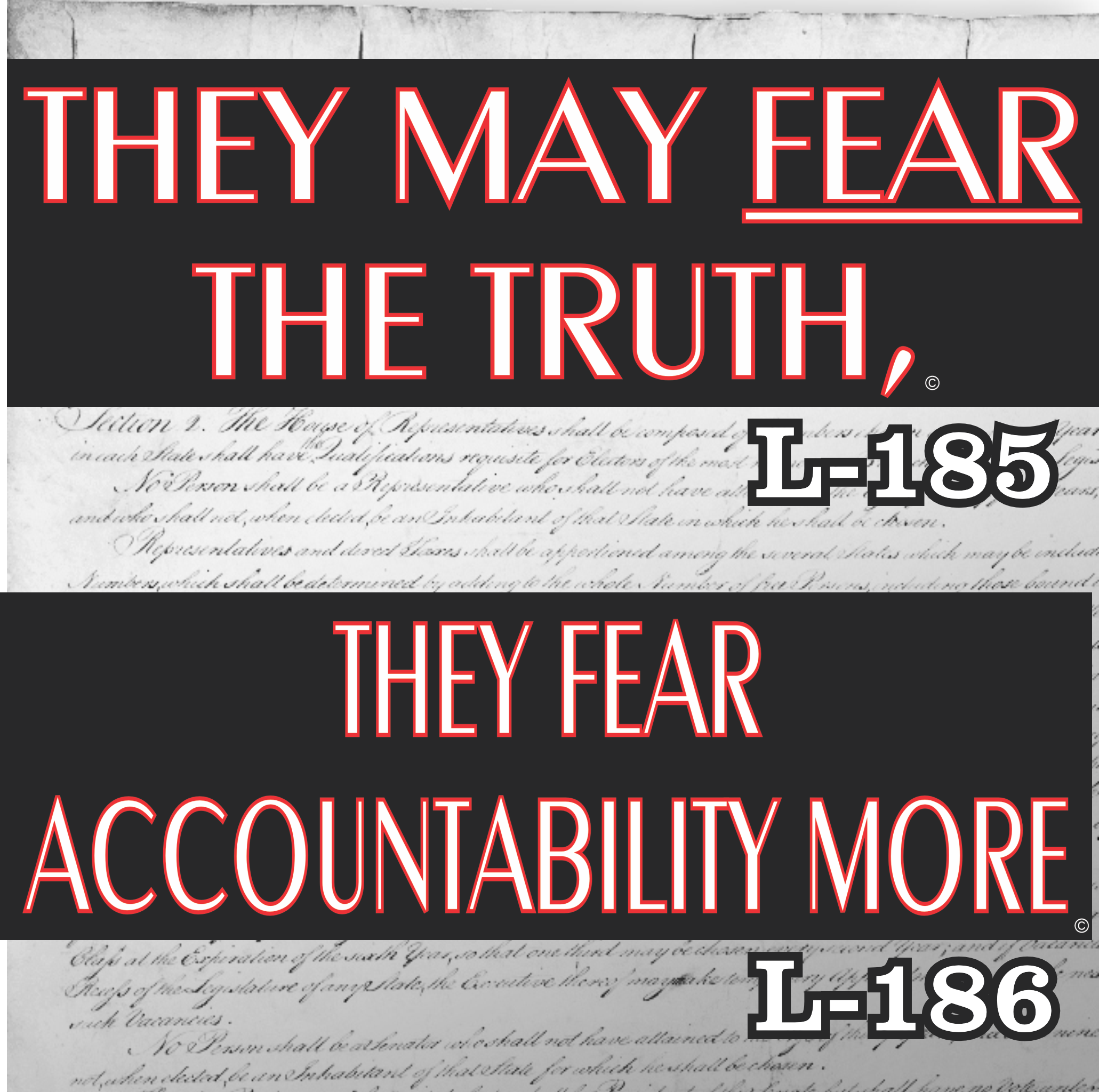 MAGNET 11" X 3.5" SET 185 186