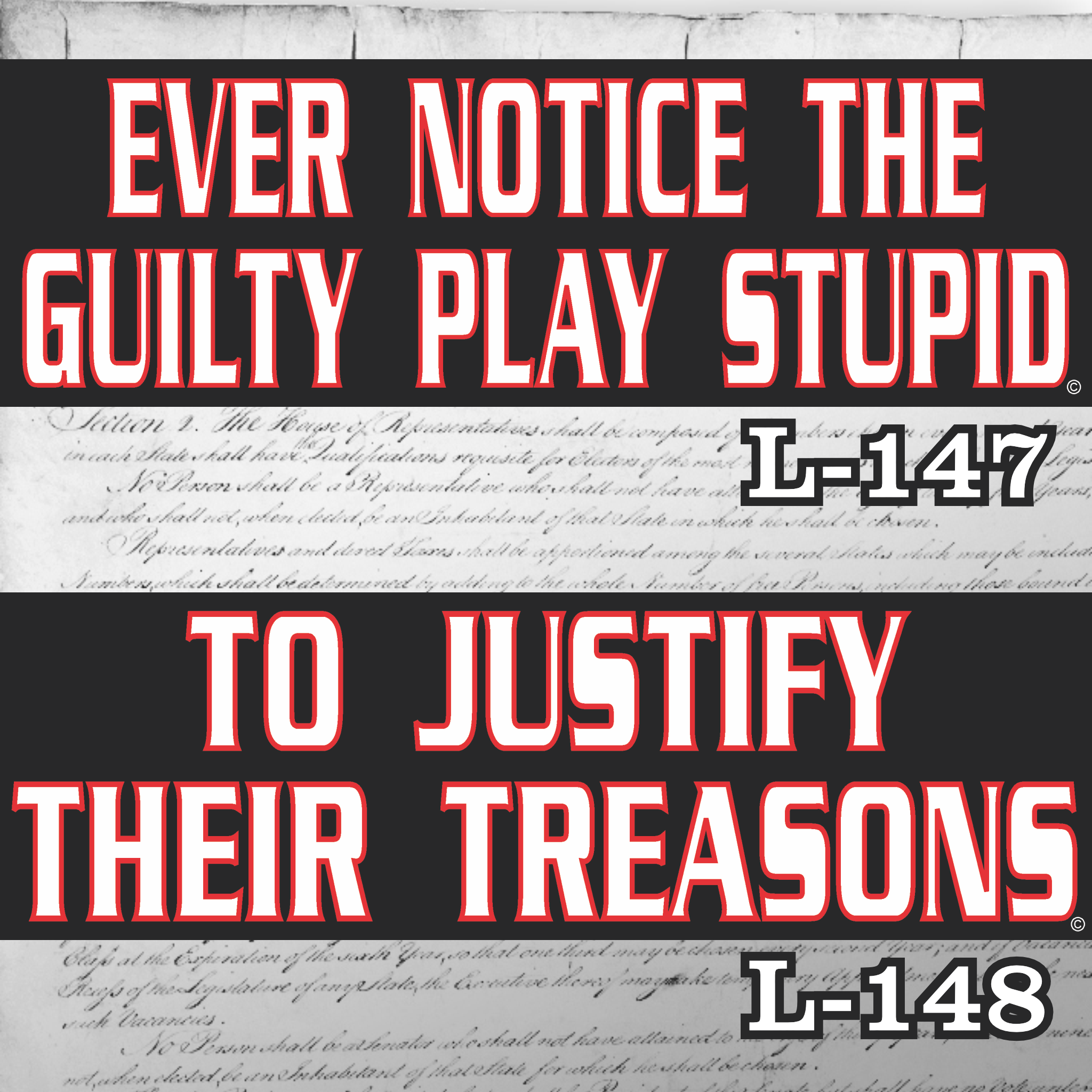 MAGNET 11" X 3.5" SET 147 148