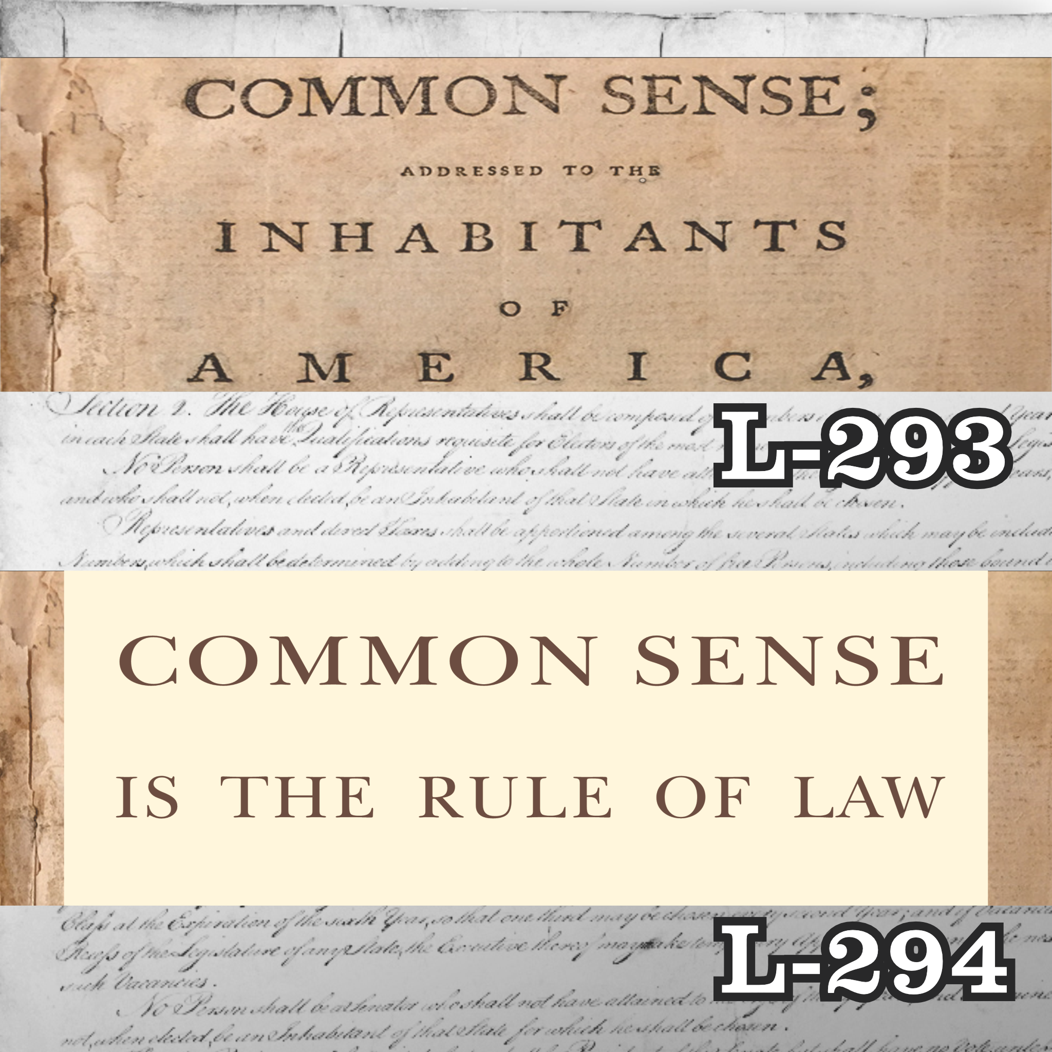 MAGNET 11" X 3.5" SET 293 294