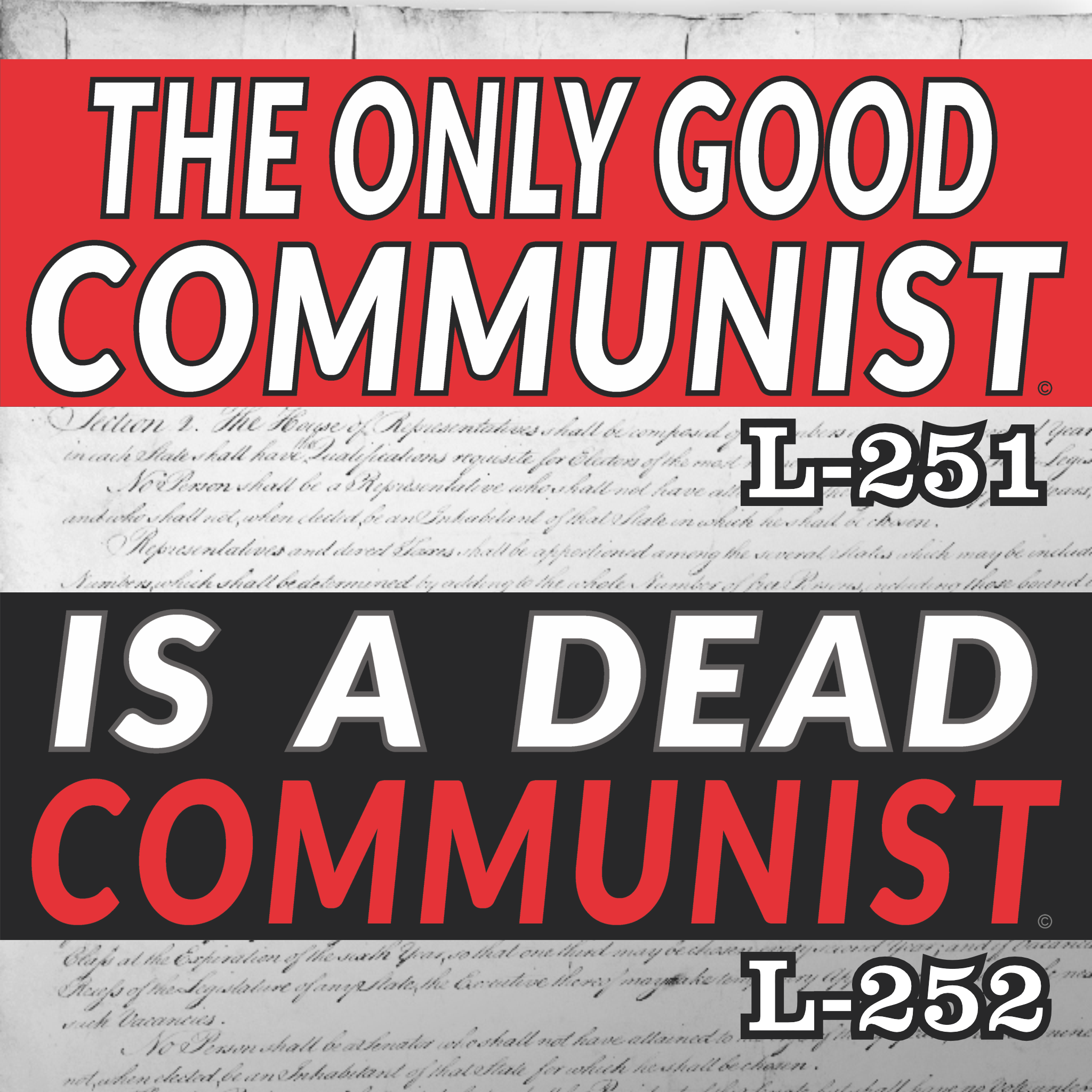 MAGNET 11" X 3.5" SET 251 252