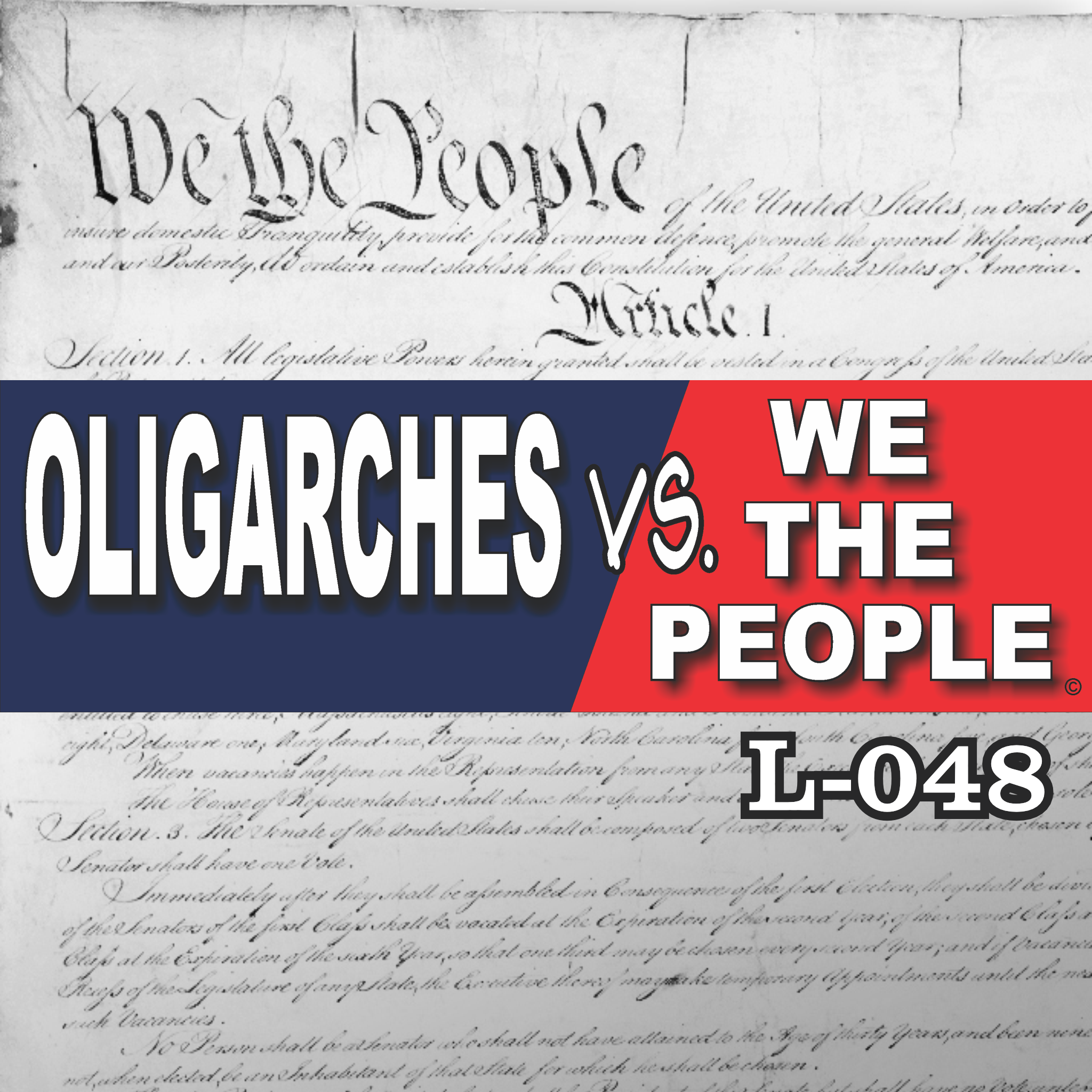 MAGNET 11" X 3.5" 48