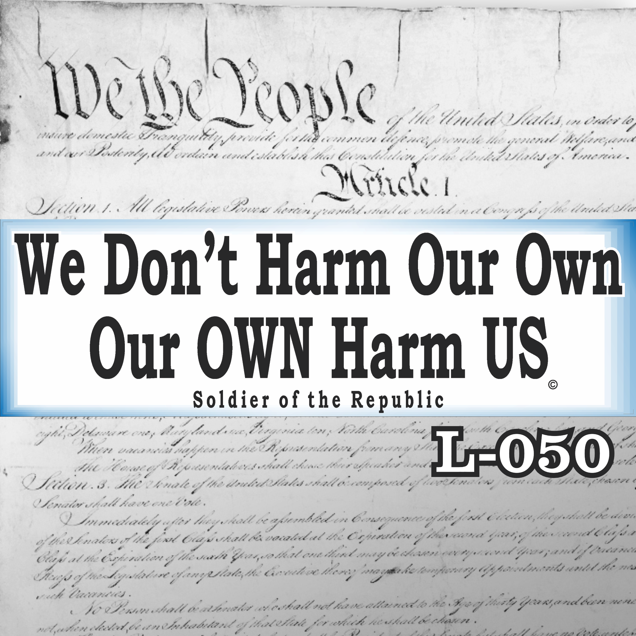 MAGNET 11" X 3.5" 50