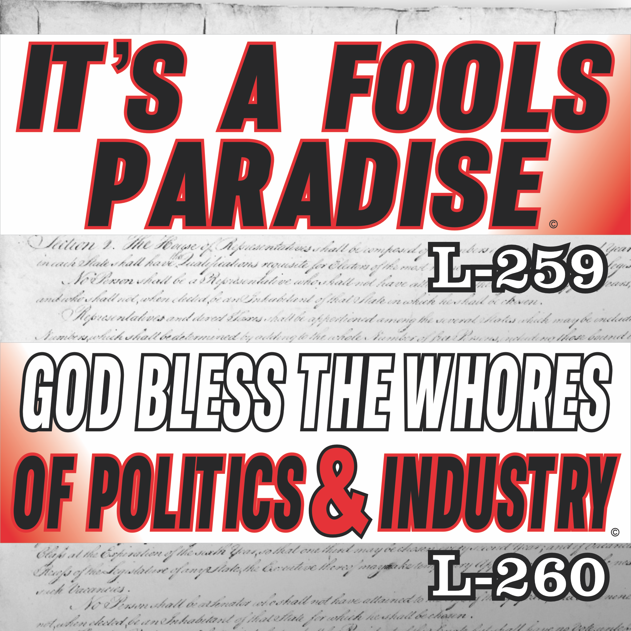 MAGNET 11" X 3.5" SET 259 260