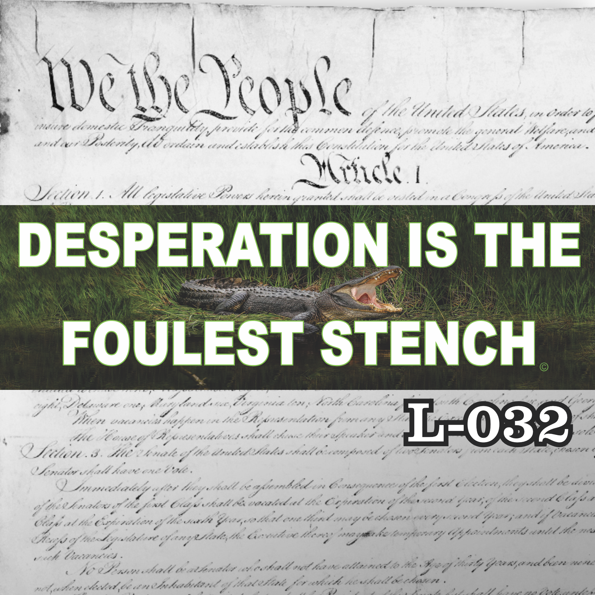 MAGNET 11" X 3.5" 32