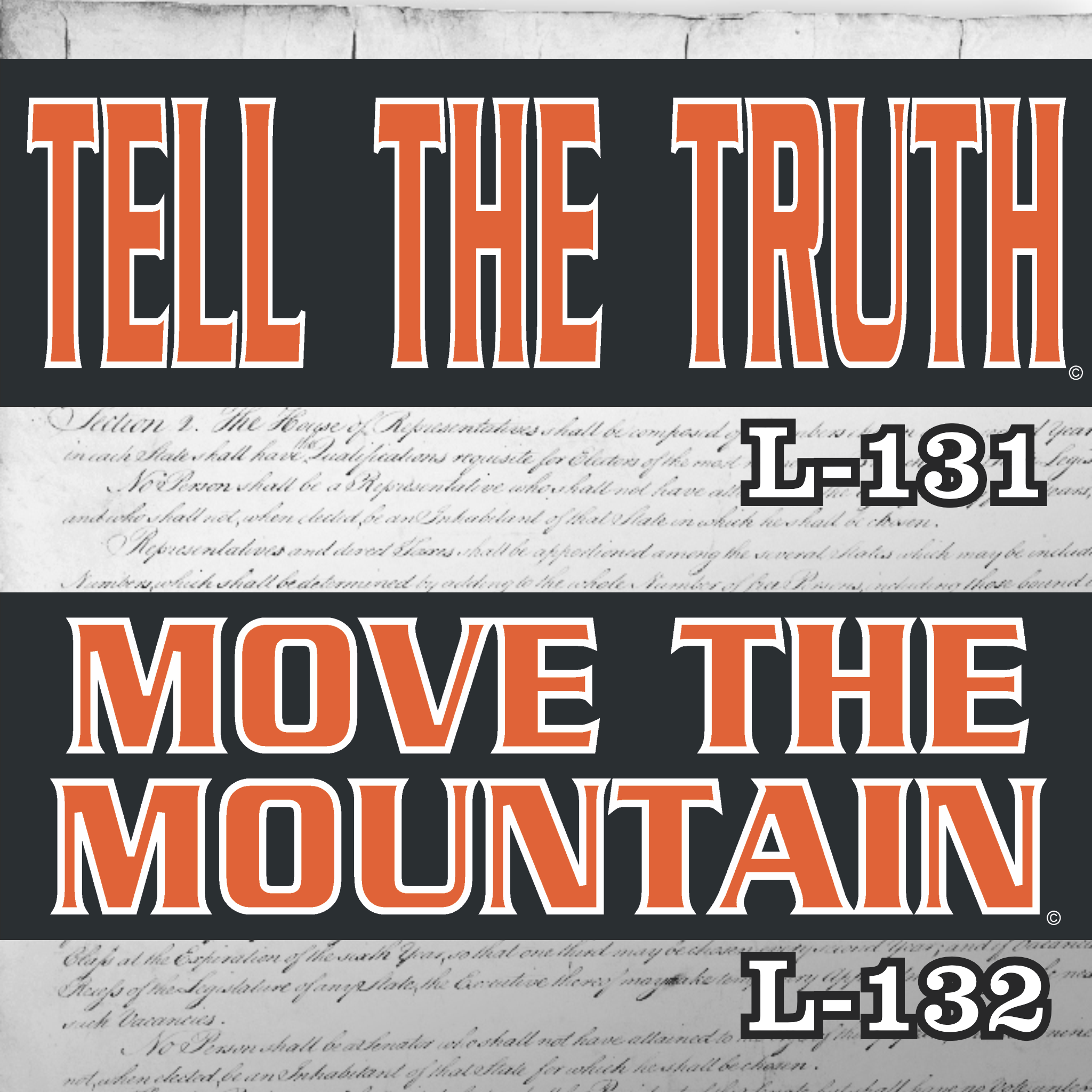 MAGNET 11" X 3.5" SET 131 132