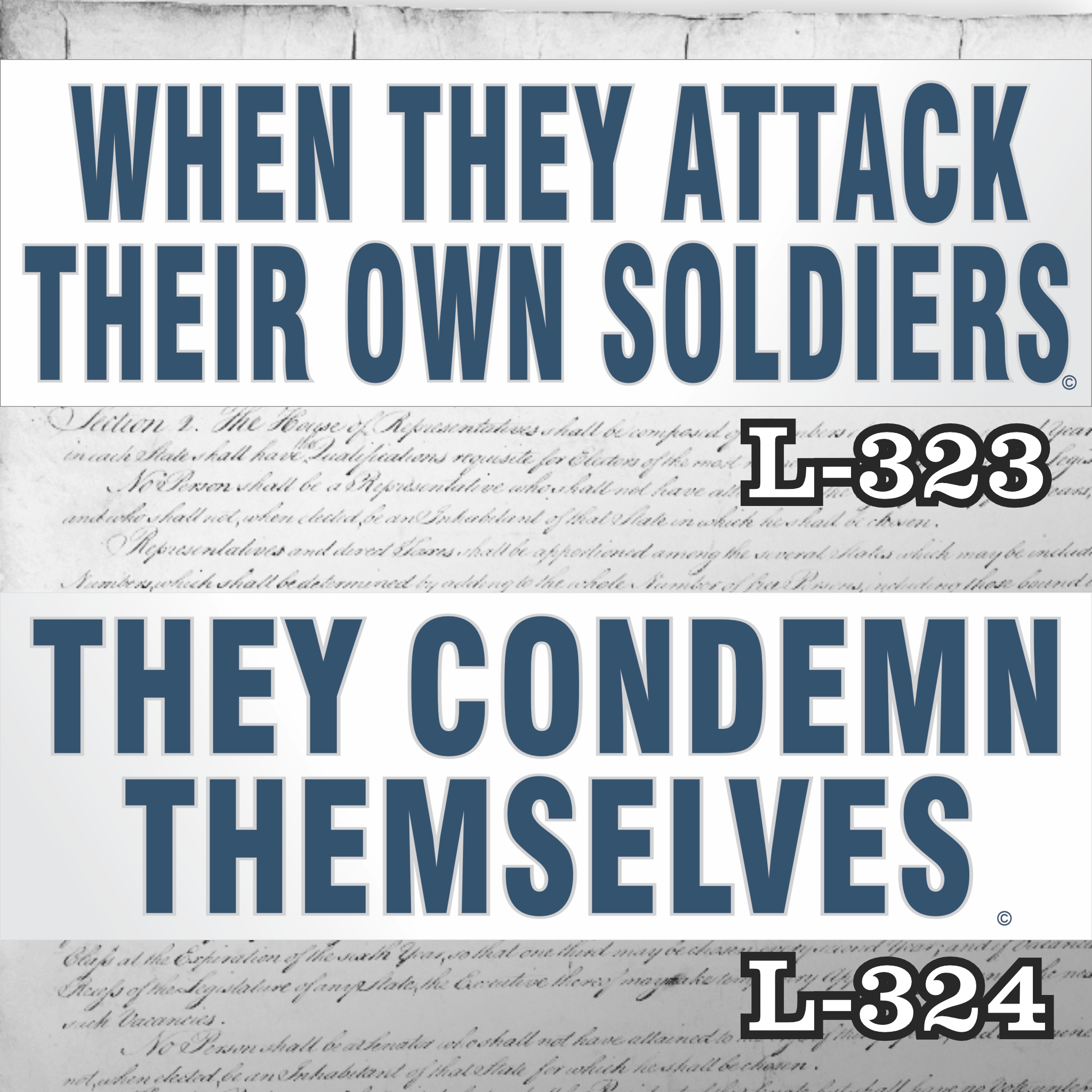 Magnet 11" x 3.5" SET 323 324