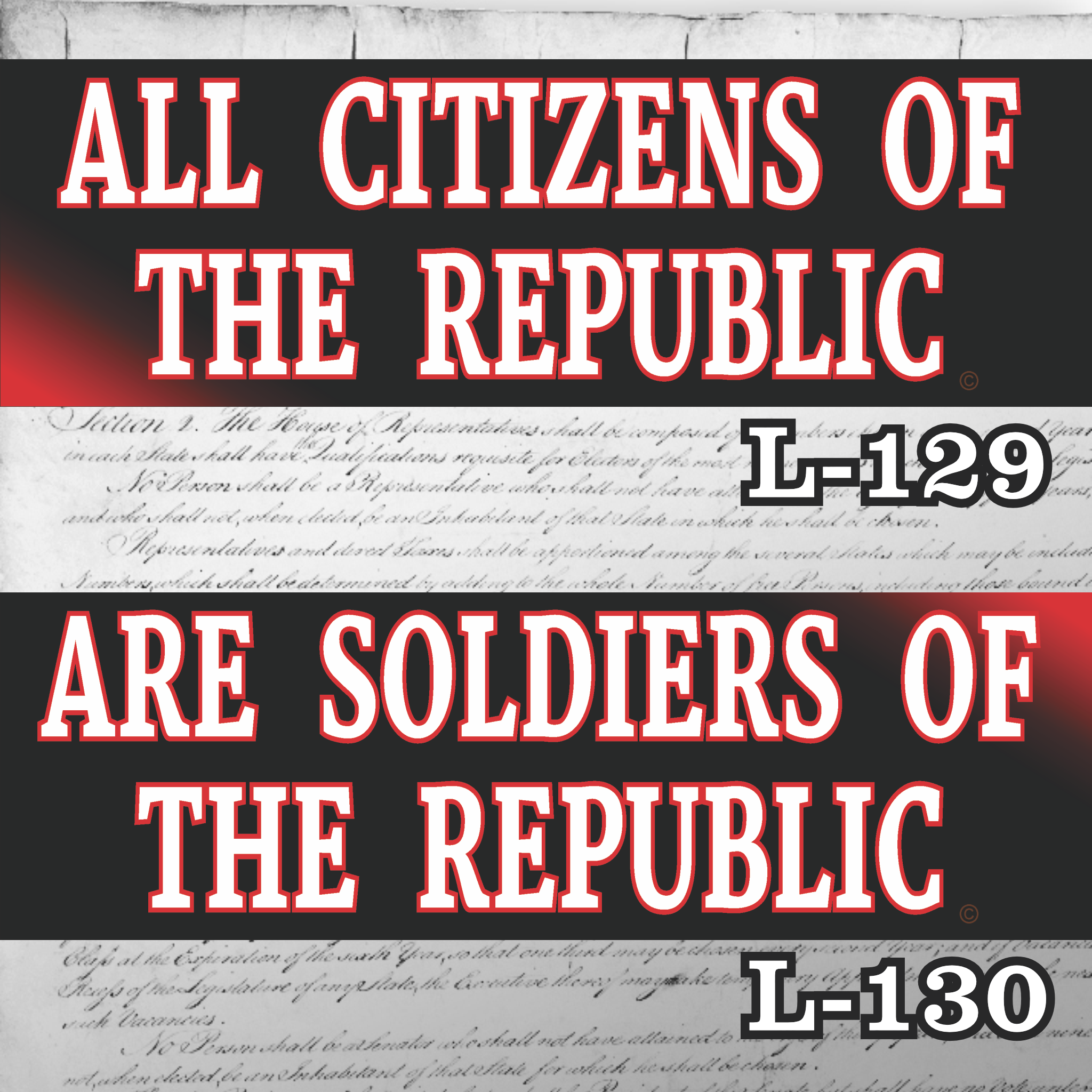 MAGNET 11" X 3.5" SET 129 130