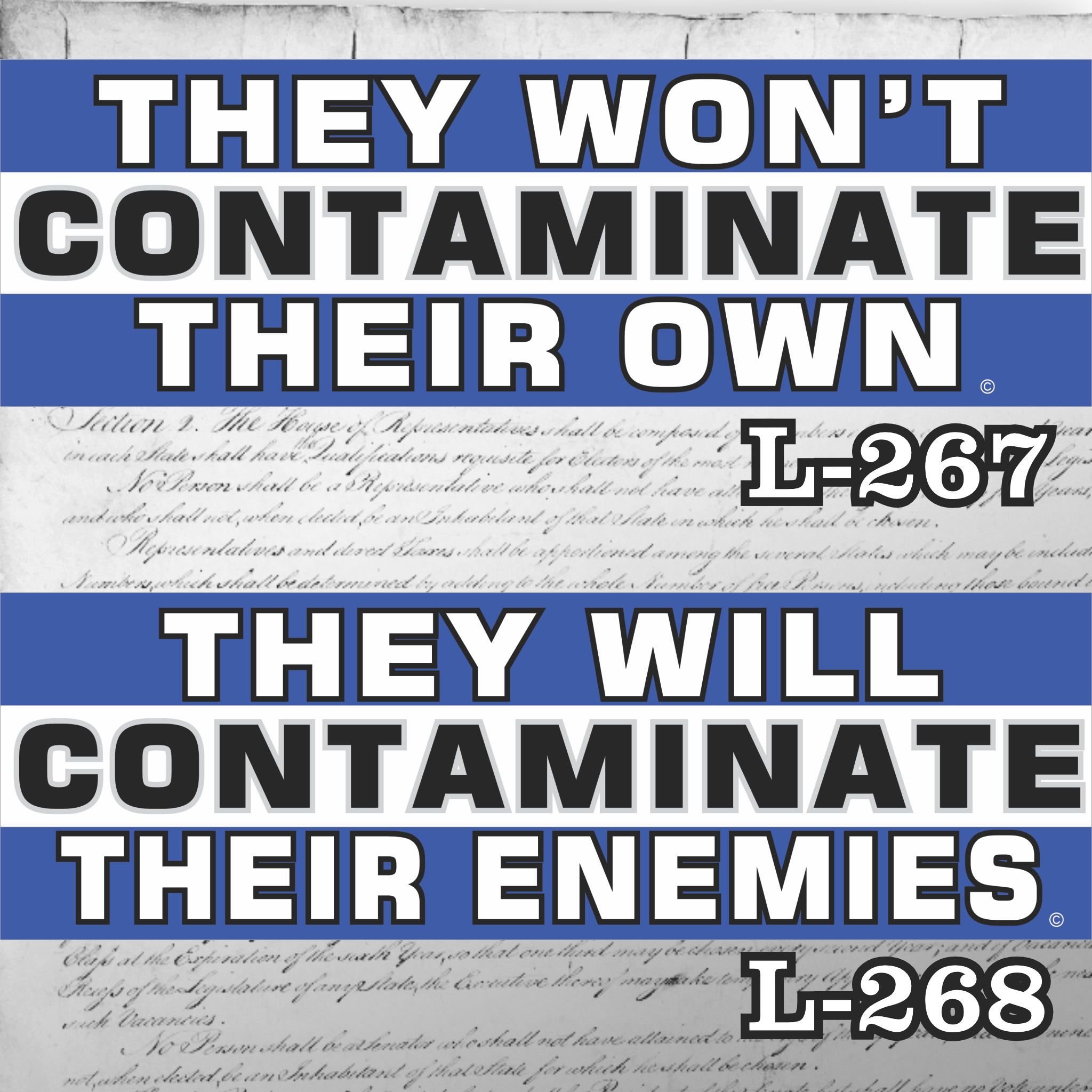 MAGNET 11" X 3.5" SET 267 268