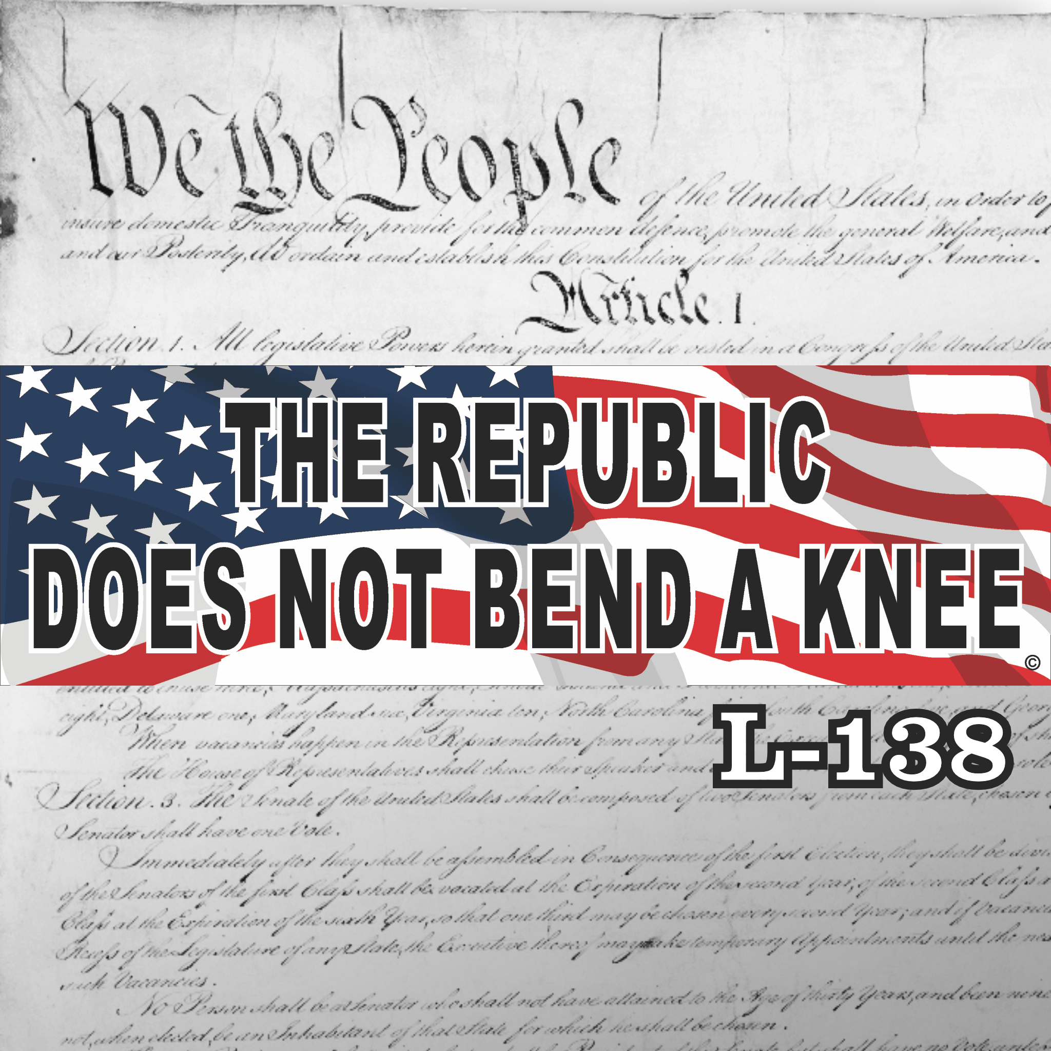 MAGNET 11" X 3.5" 138