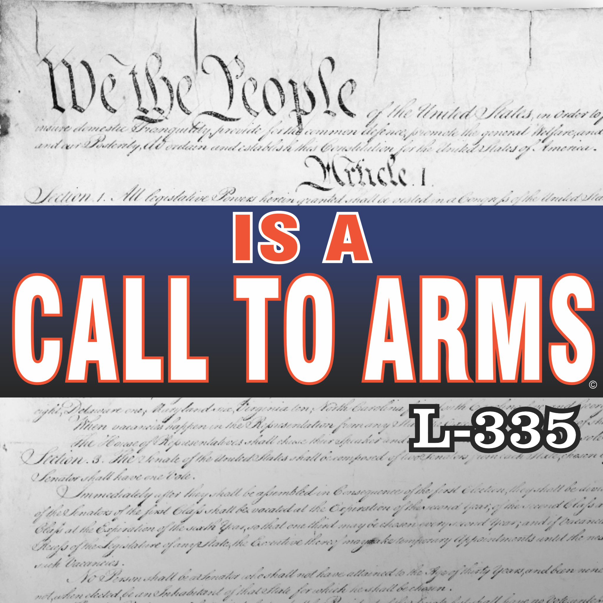 Magnet 11" x 3.5" 335