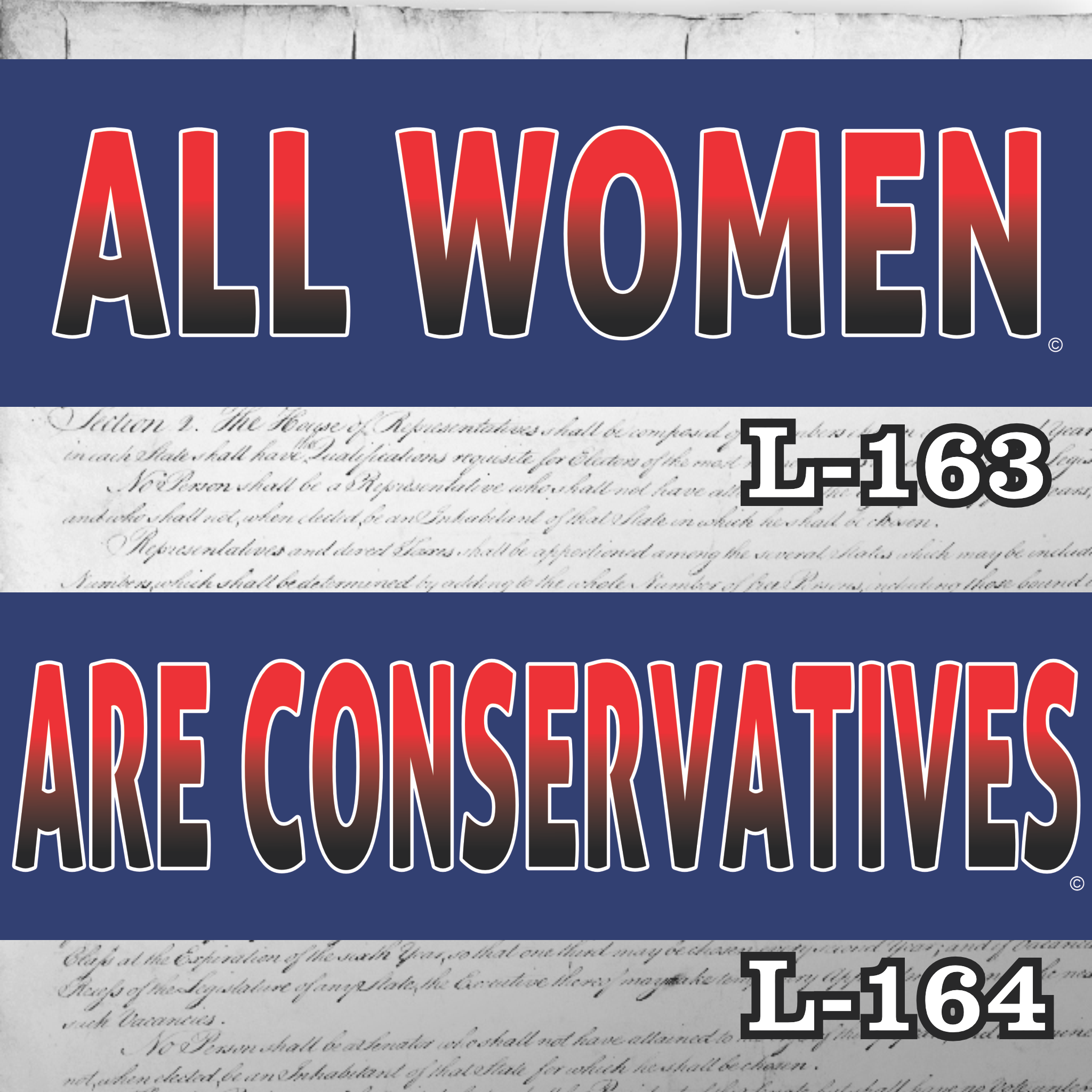 MAGNET 11" X 3.5" SET 163 164