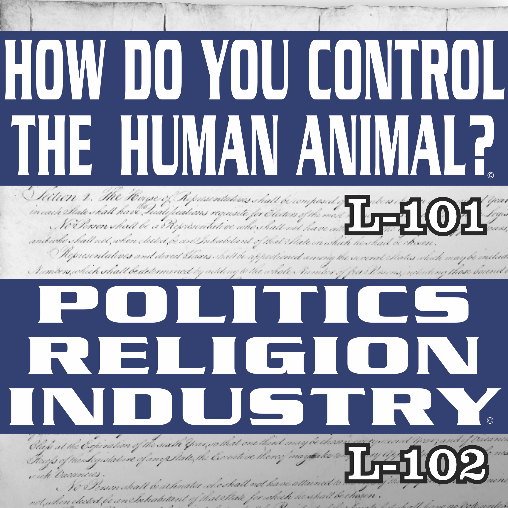 MAGNET SET 11" X 3.5" 101 102