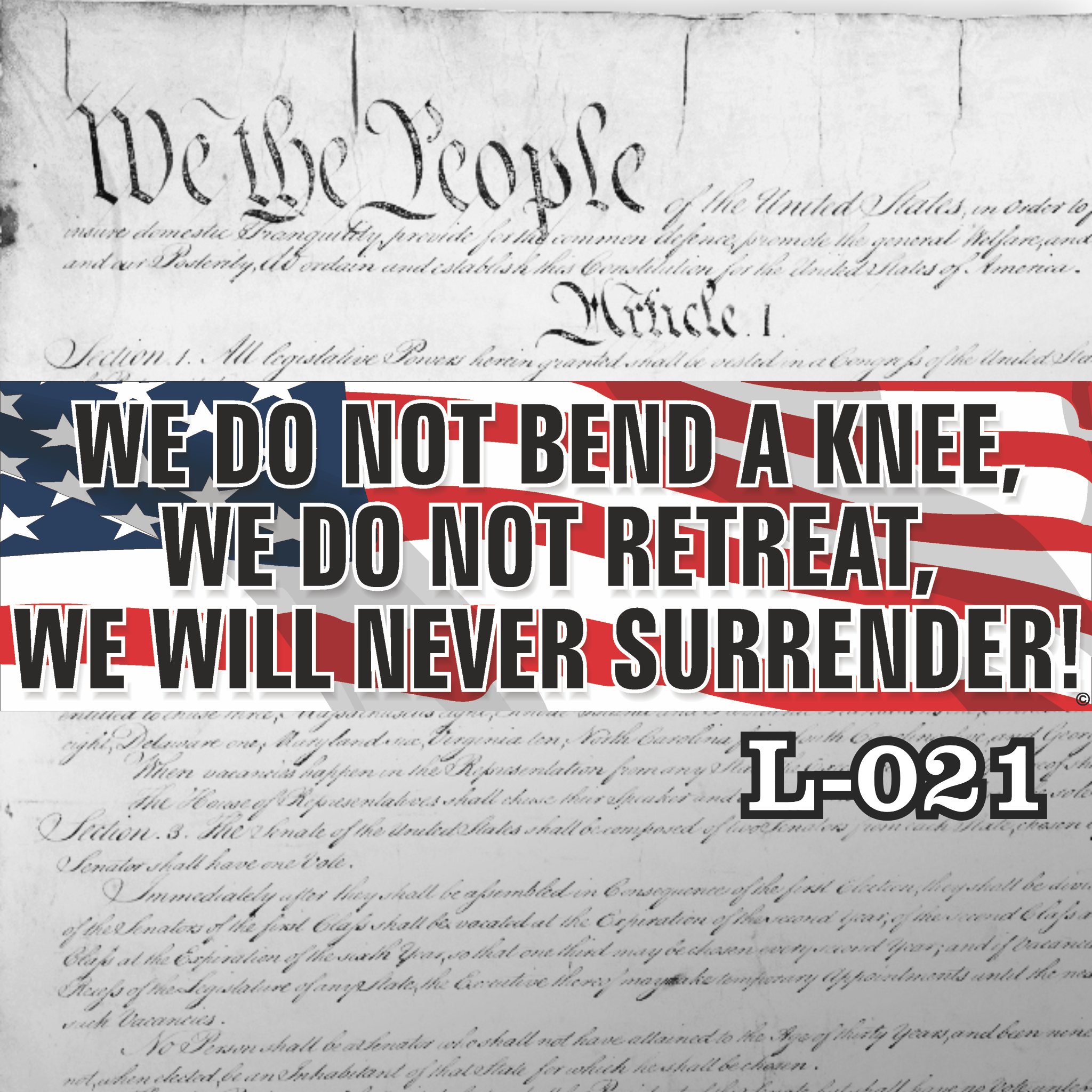 MAGNET 11" X 3.5" 21