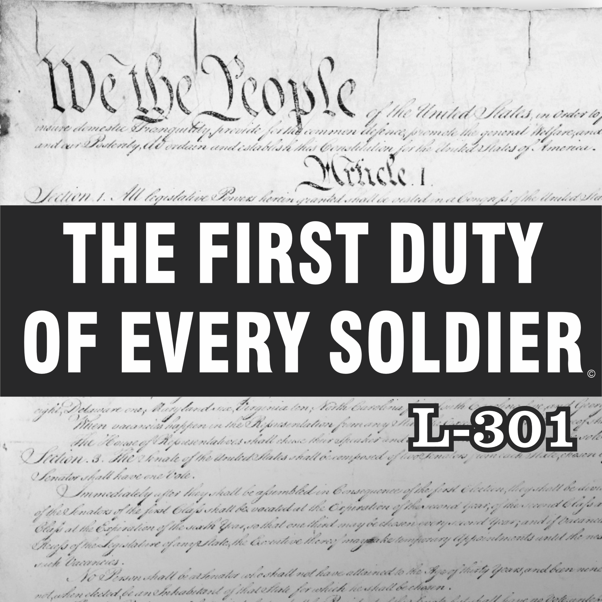 MAGNET 11" X 3.5" 301