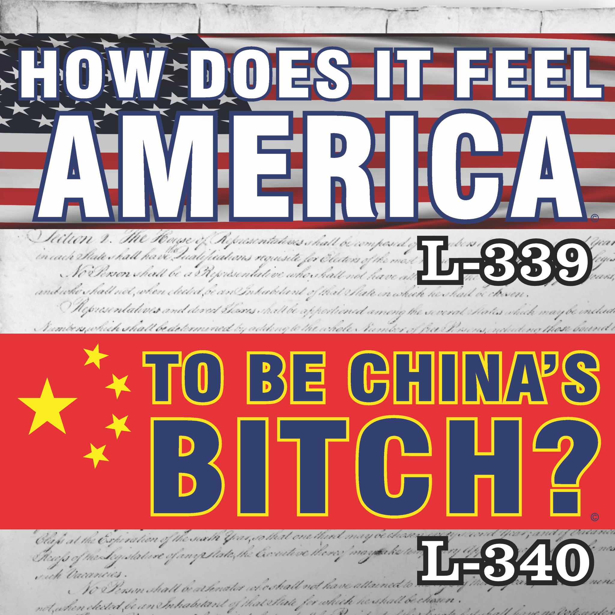 Magnet 11" x 3.5" SET 339 340