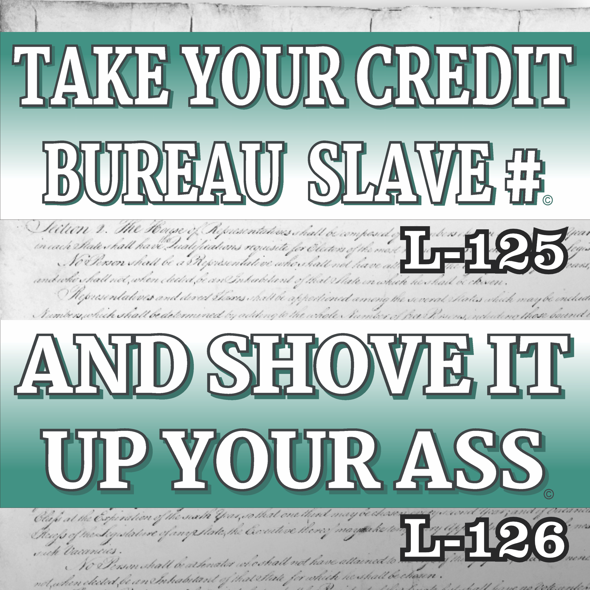 MAGNET 11" X 3.5" SET 125 126