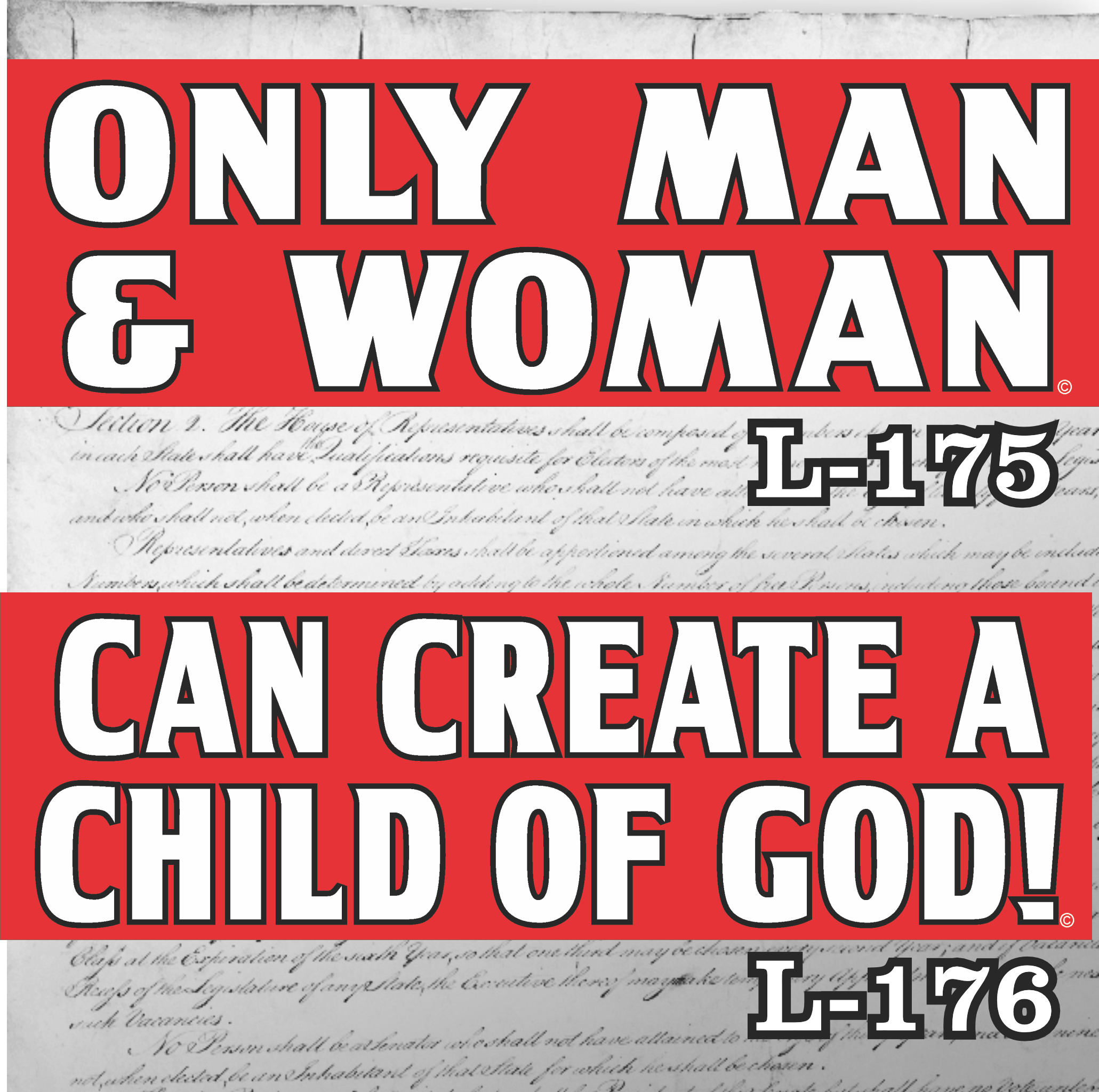 MAGNET 11" X 3.5" SET 175 176