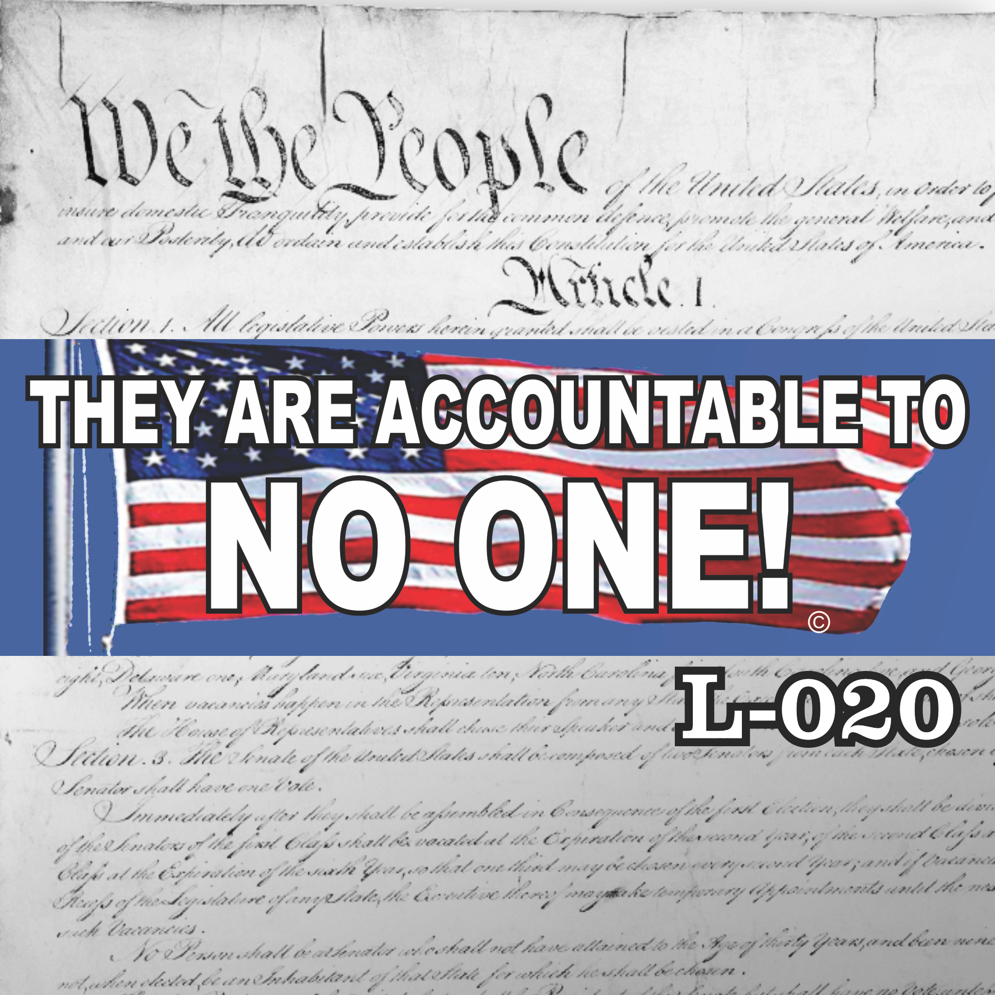 MAGNET 11" X 3.5" 20