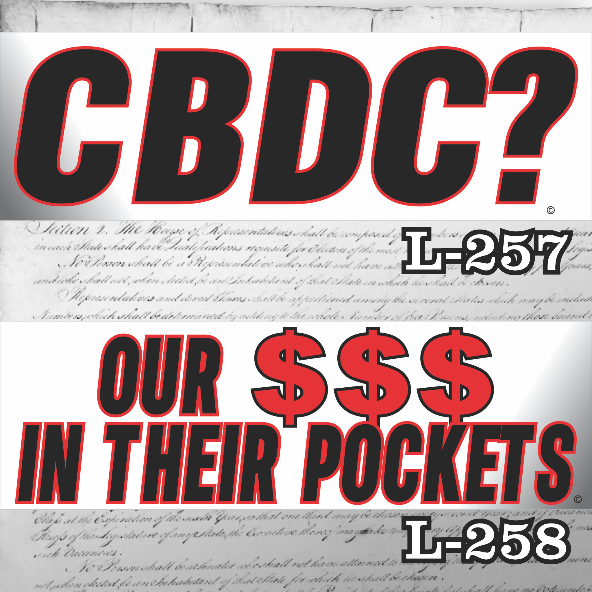 MAGNET 11" X 3.5" SET 257 258