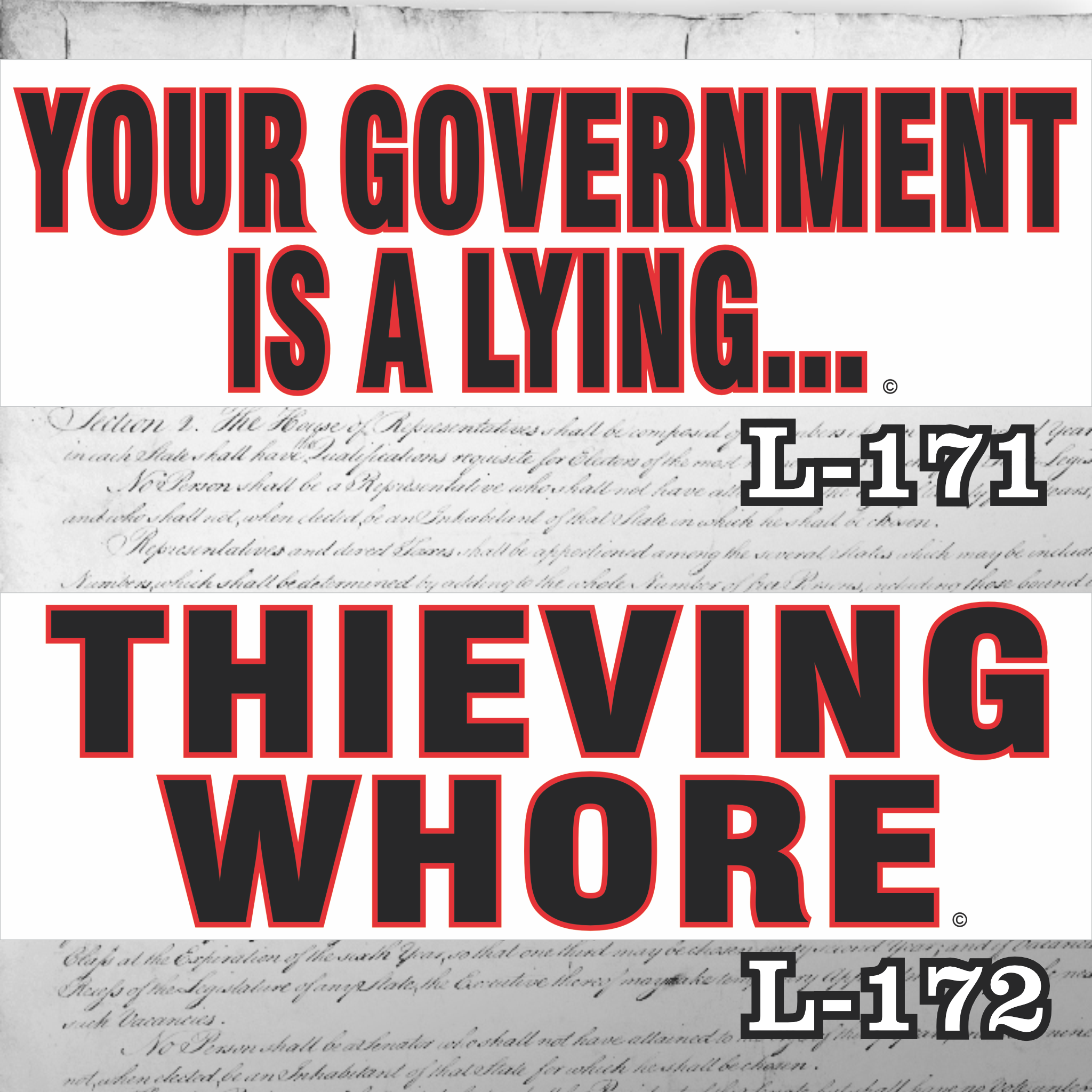 MAGNET 11" X 3.5" SET 171 172