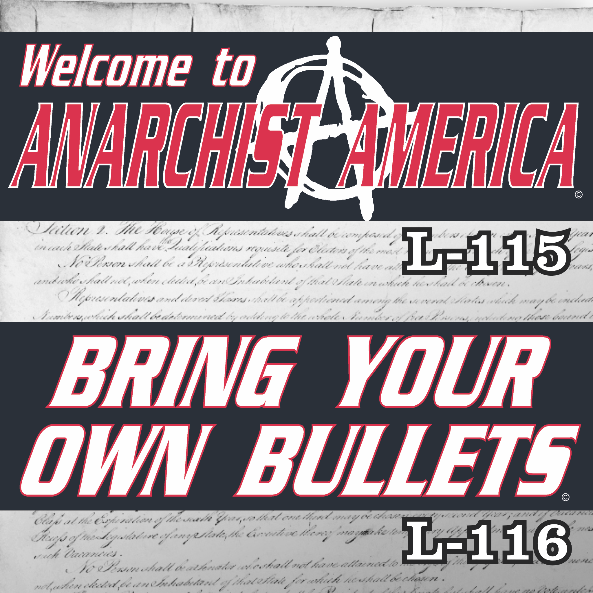 MAGNET SET 11" X 3.5" 115 116