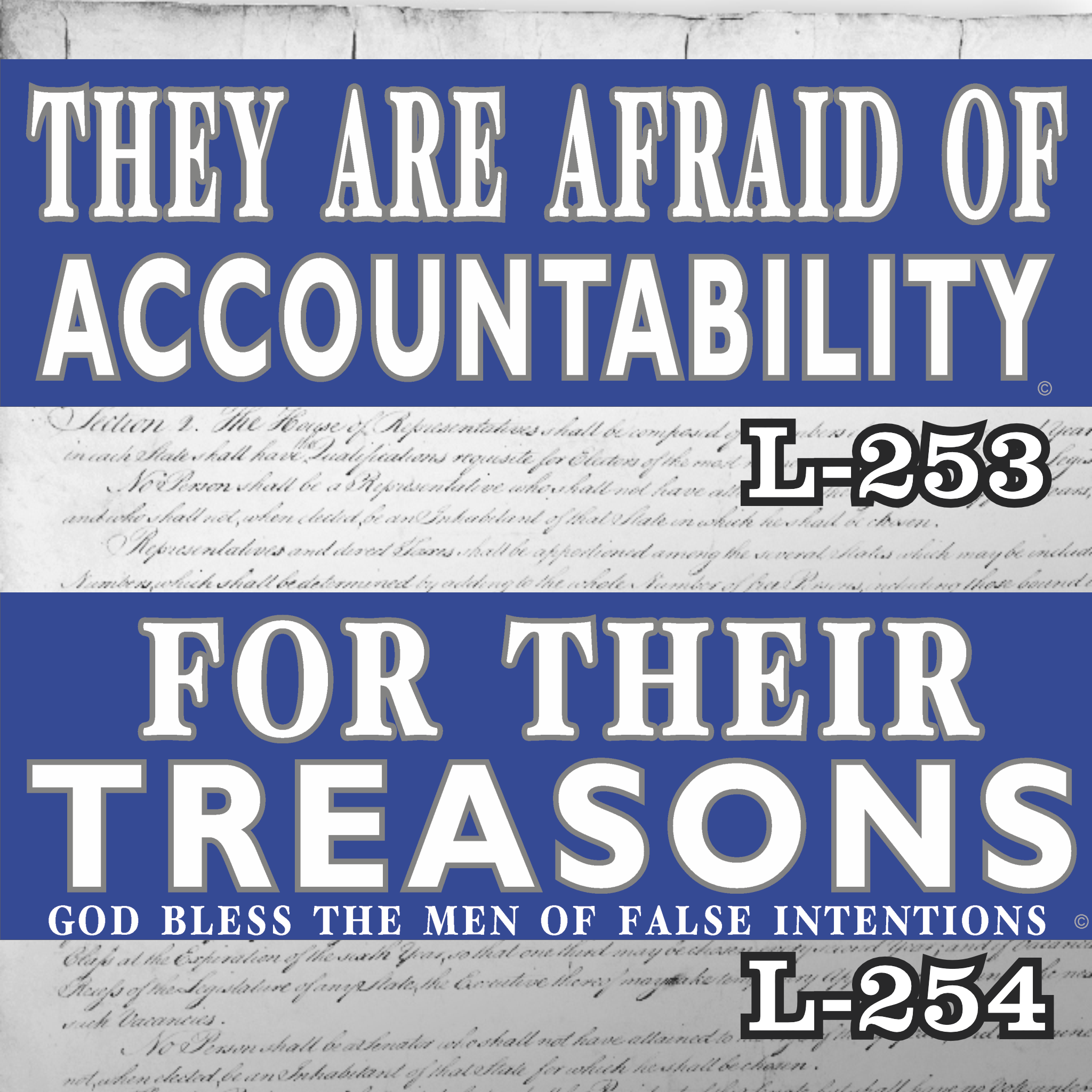 MAGNET 11" X 3.5" SET 253 254