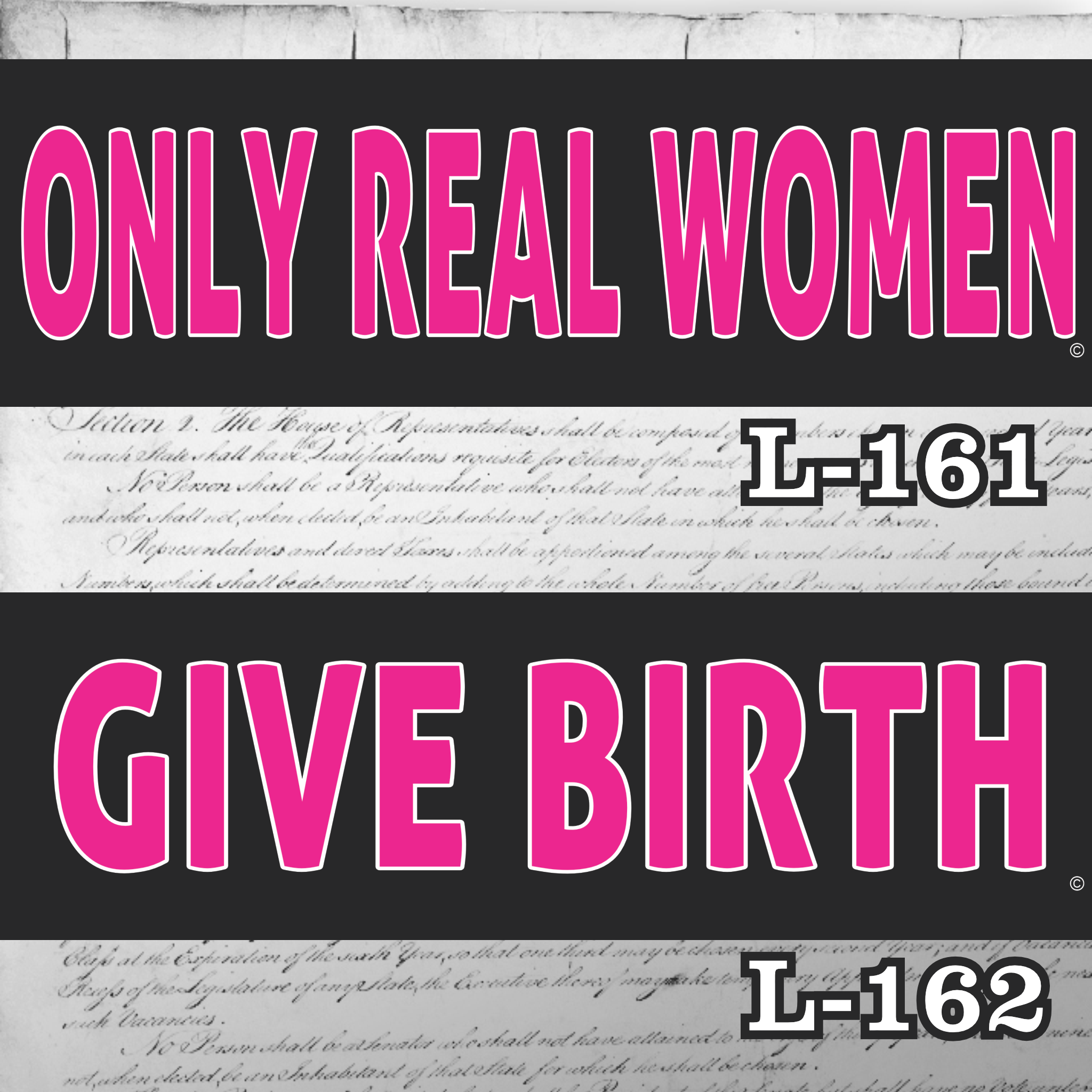 MAGNET 11" X 3.5" SET 161 162