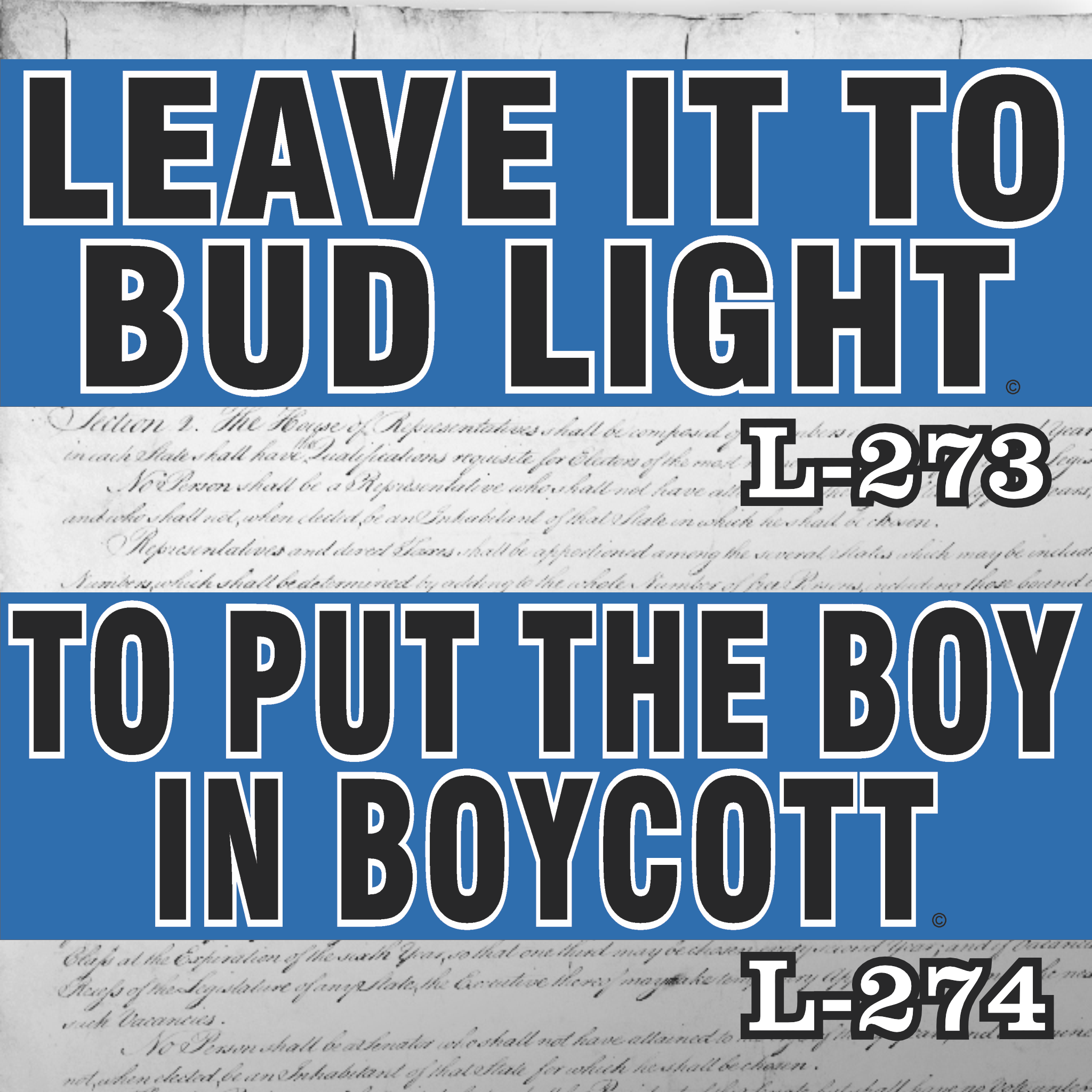 MAGNET 11" X 3.5" SET 273 274