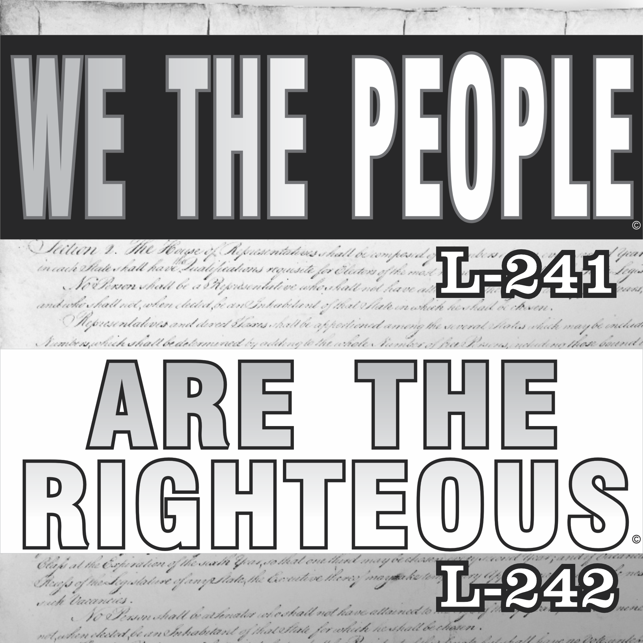 MAGNET 11" X 3.5" SET 241 242