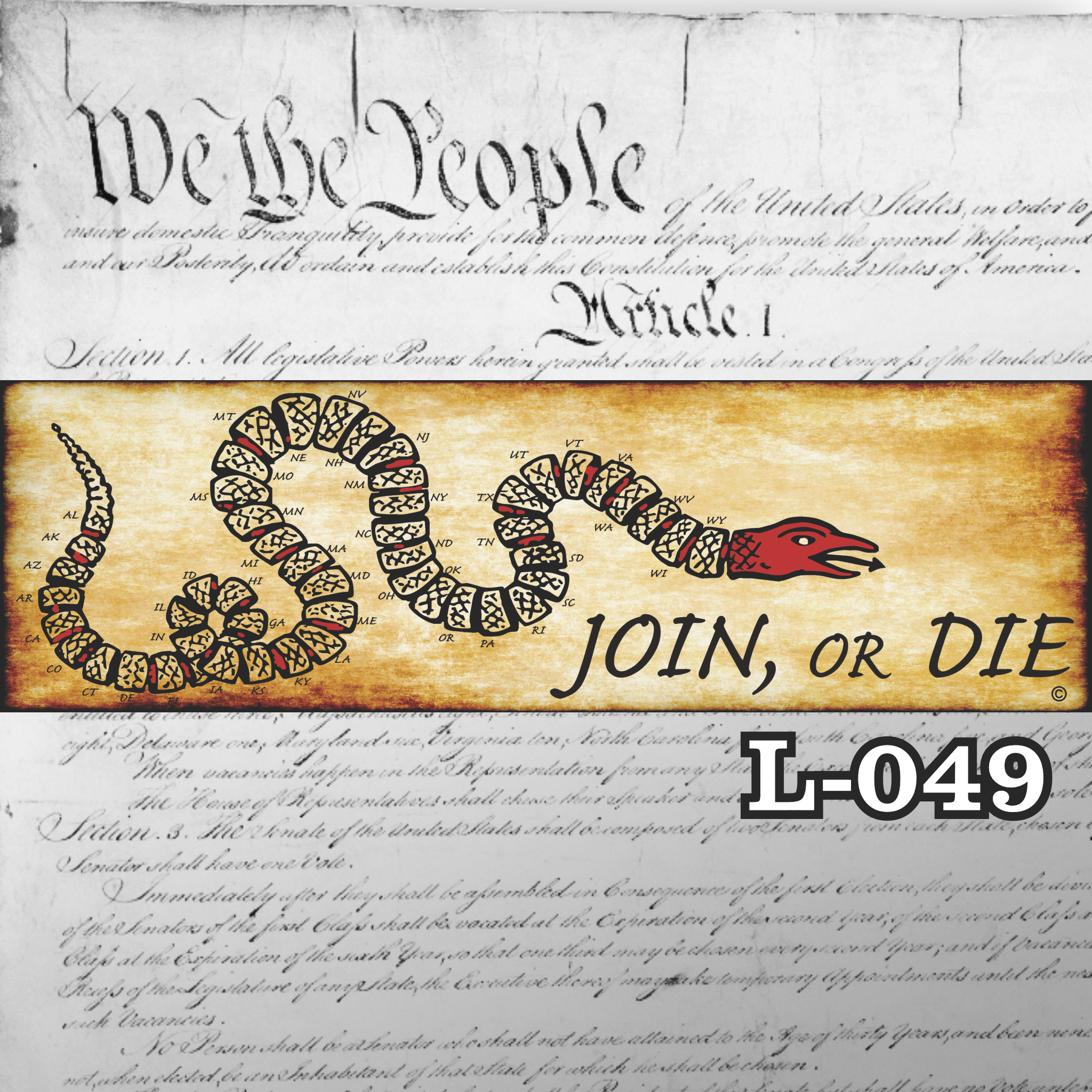 MAGNET 11" X 3.5" 49