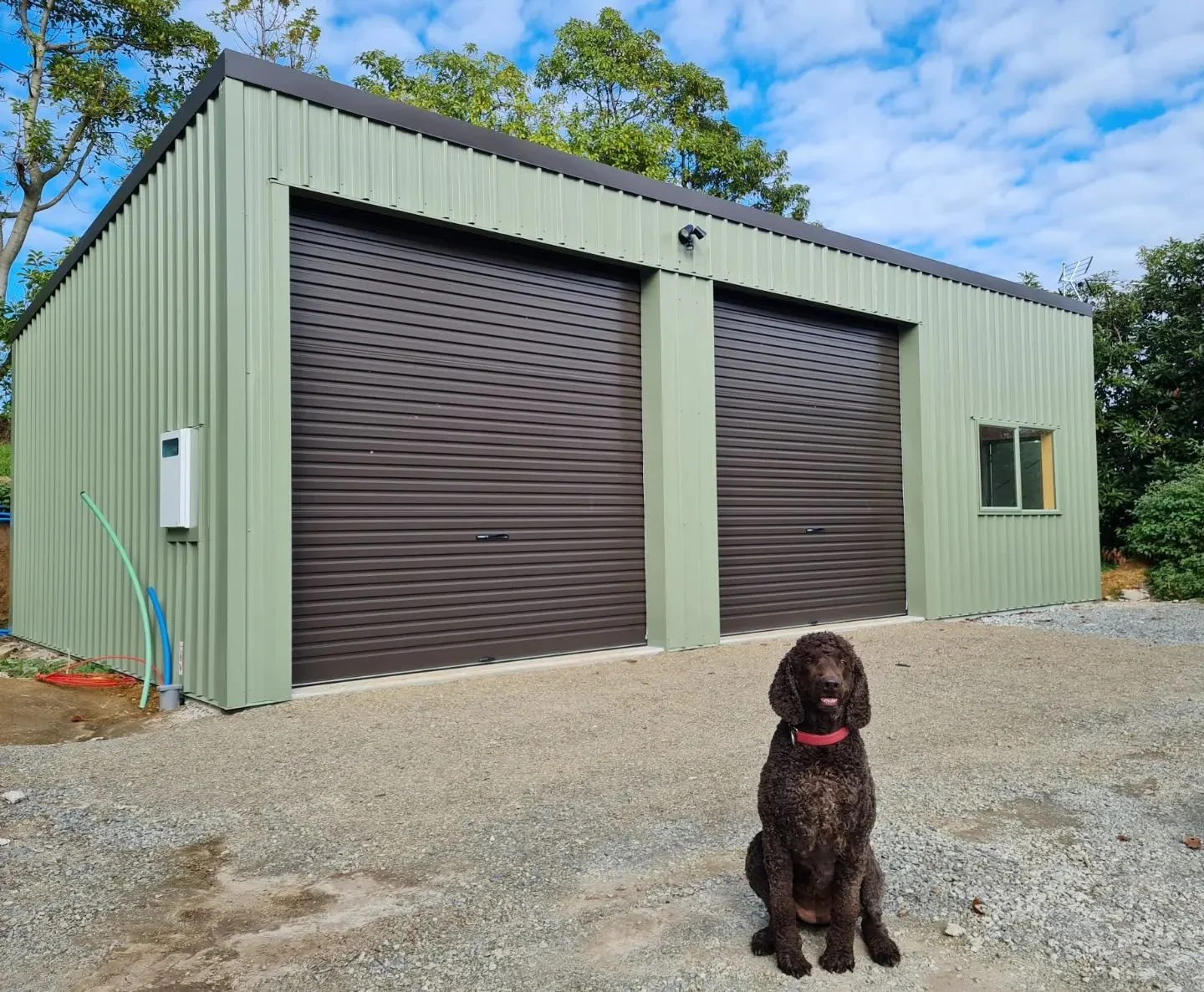 A green metal garage with two large brown rolling doors, a small window on the right, and a black dog sitting on gravel in front of it. There are trees and blue sky in the background.