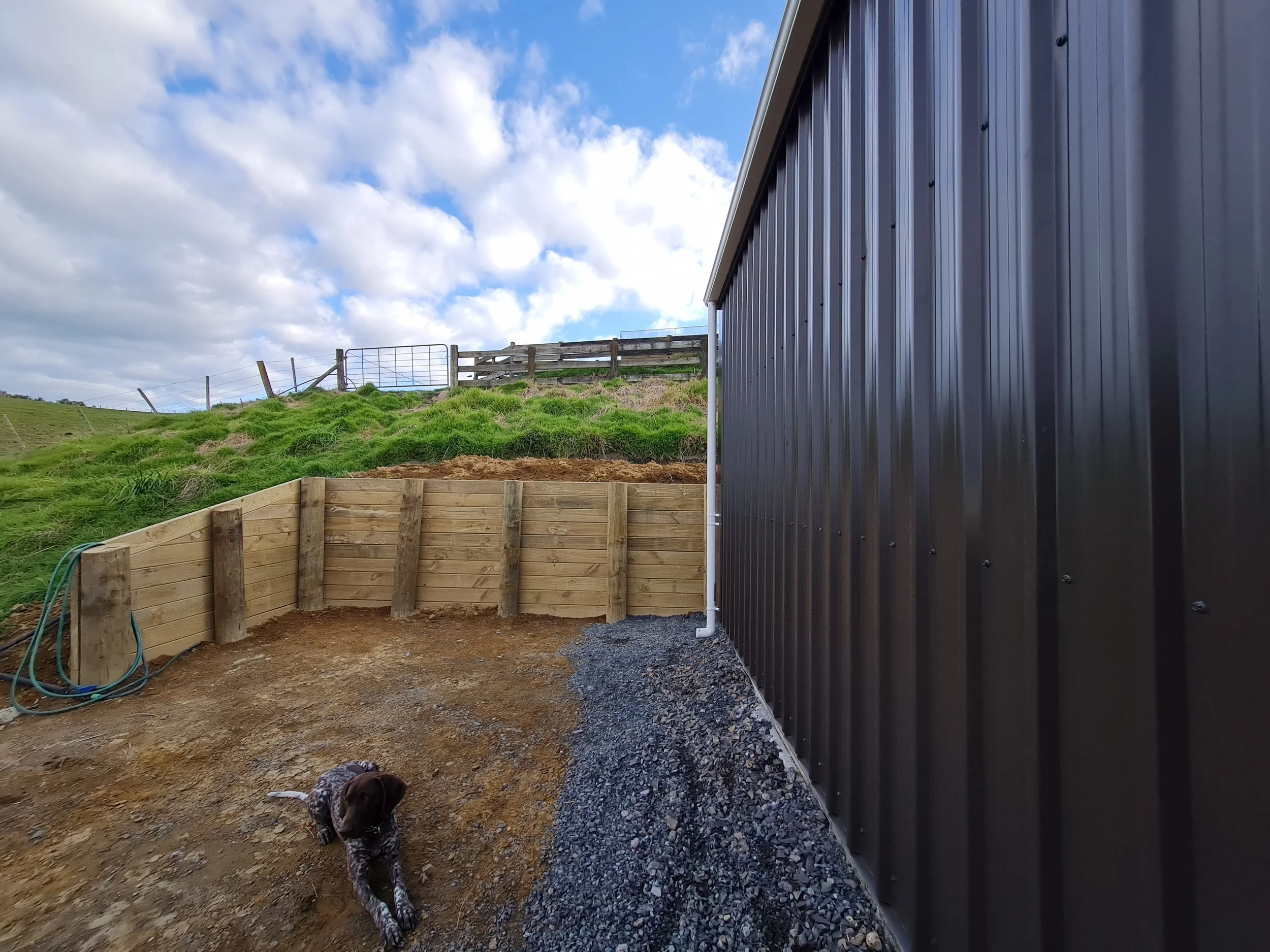 A small brown and white puppy lying on dirt ground next to a newly built wooden retaining wall and a large black metal building on a cloudy day.