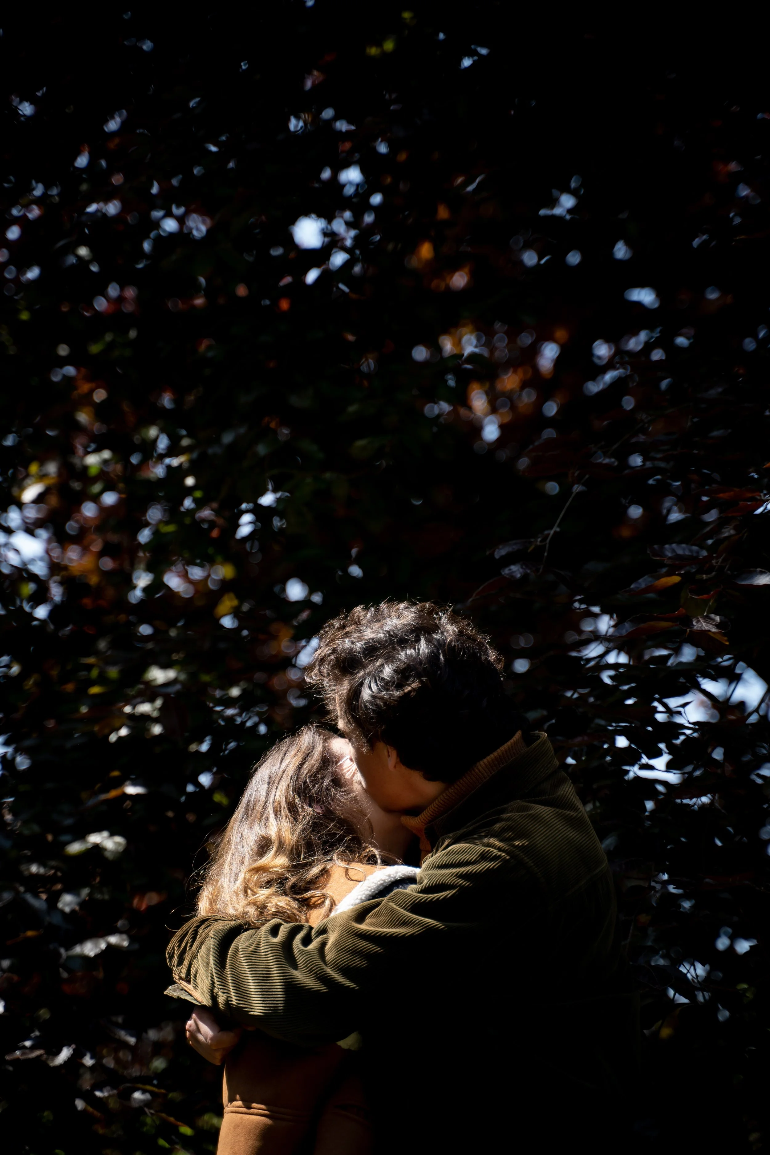 Un couple qui s'embrasse tendrement sous un ciel ensoleillé, entouré d'arbres aux feuilles sombres.
