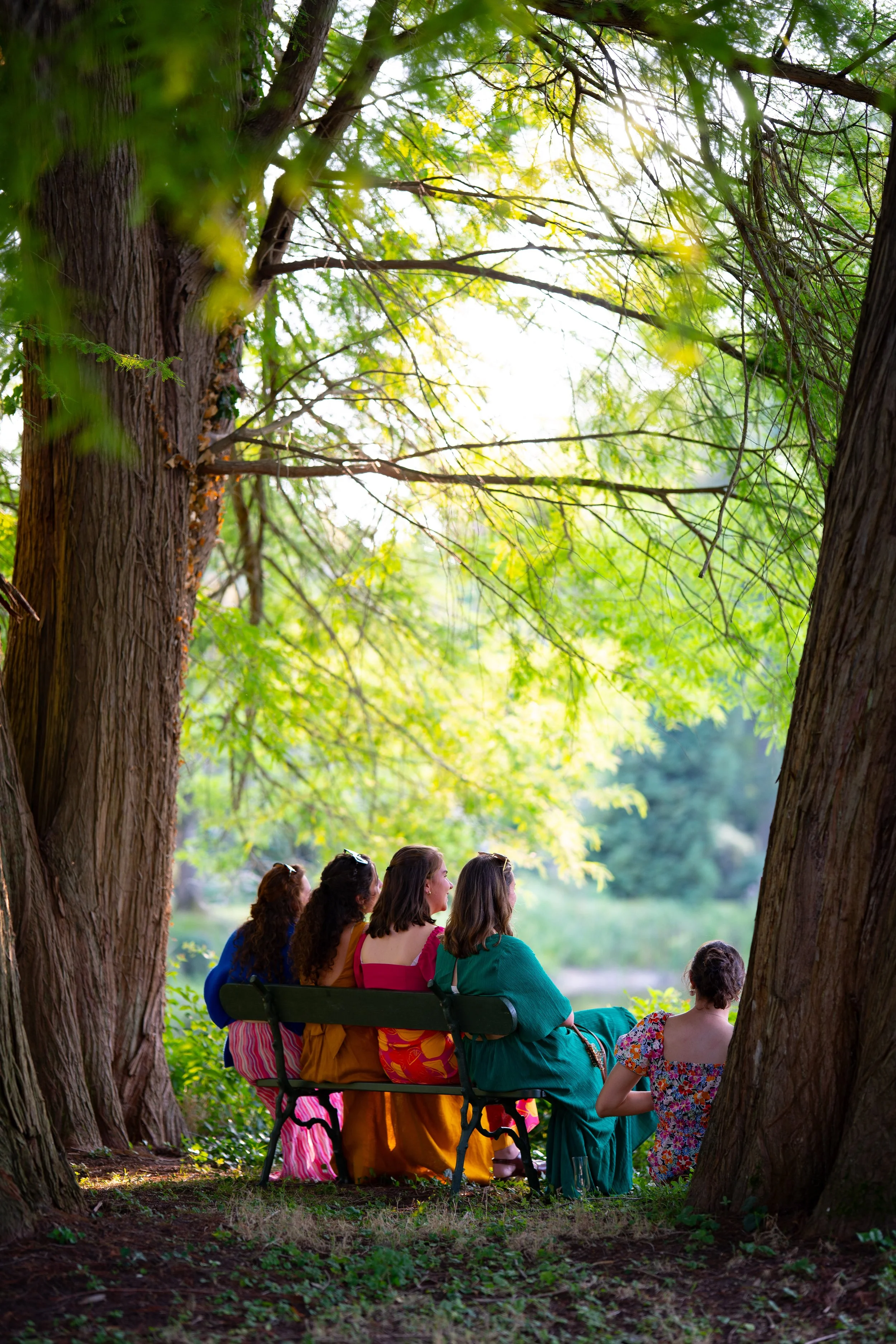 Groupe de femmes assises sur un banc en plein air sous de grands arbres verts, spectacle naturel en arrière-plan.